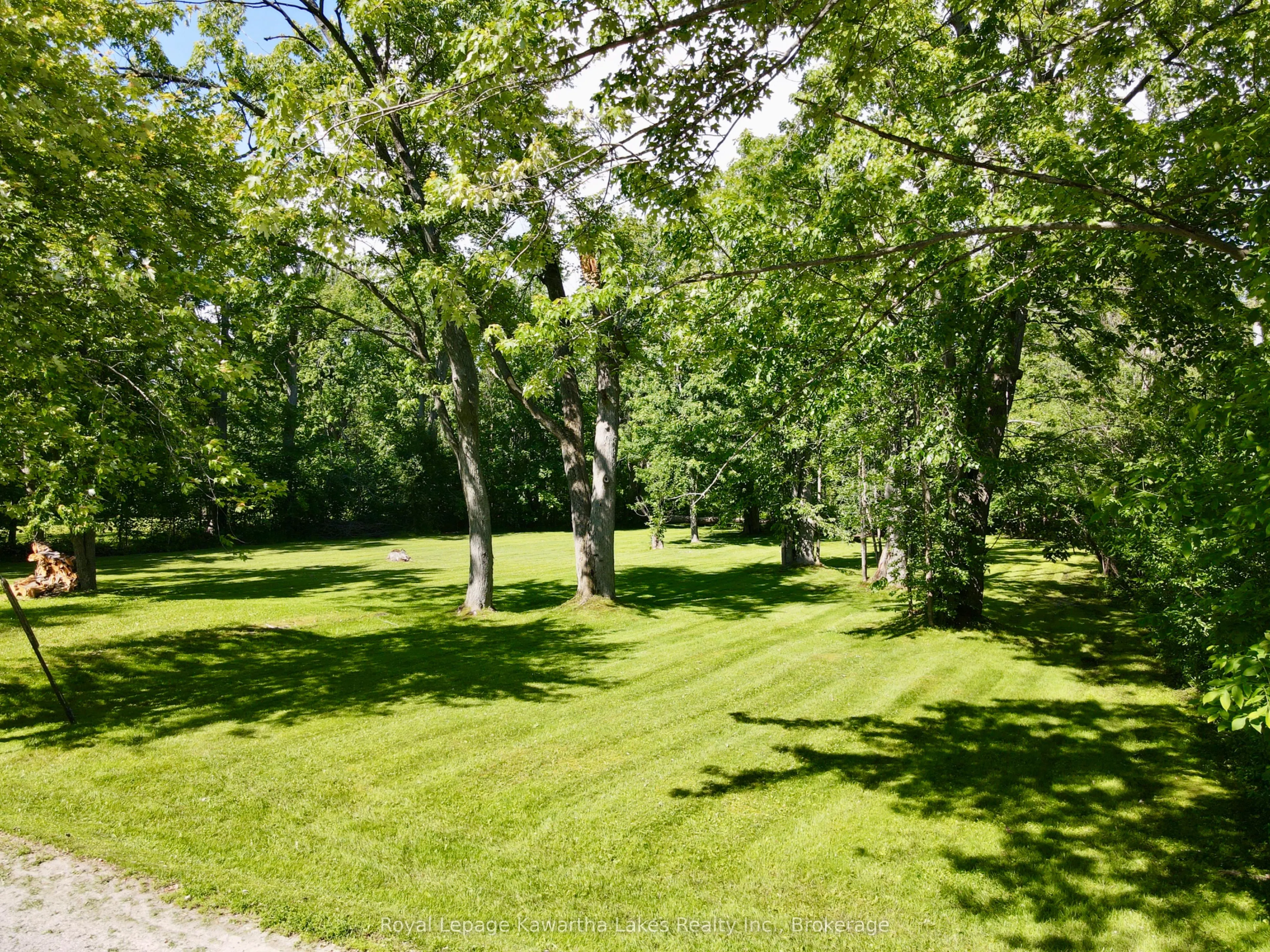 2636+ Lakeshore Drive