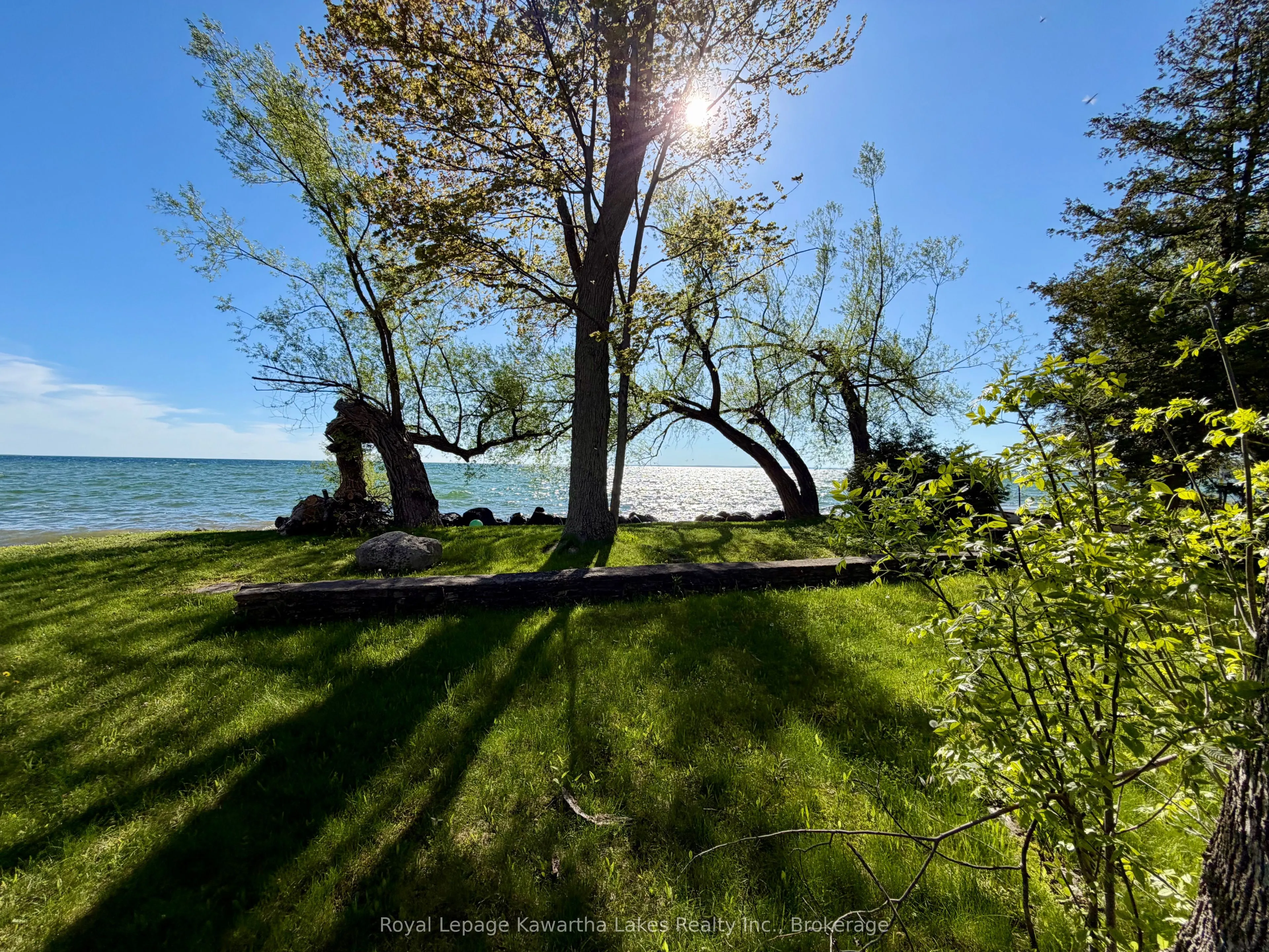 2636+ Lakeshore Drive