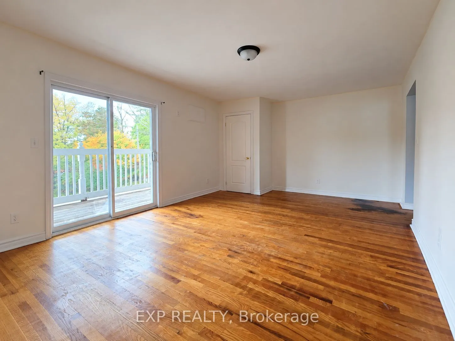 1 Maple Road #1