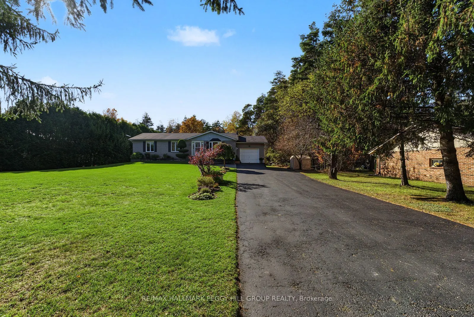 3346 McCarthy Drive
