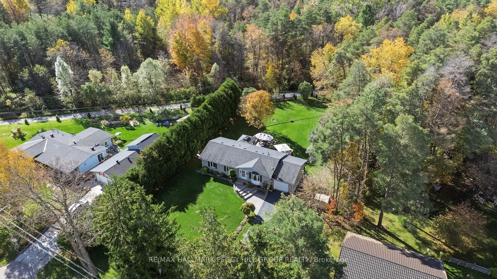 3346 McCarthy Drive