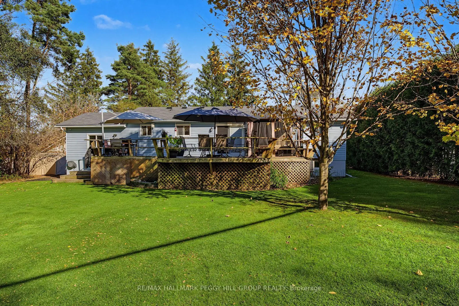 3346 McCarthy Drive