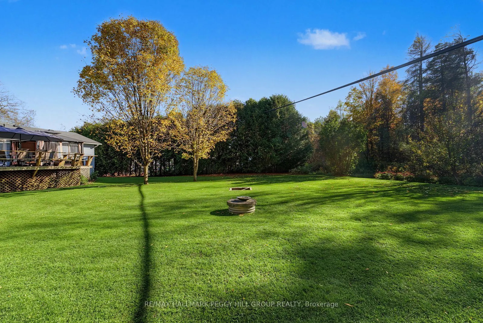 3346 McCarthy Drive