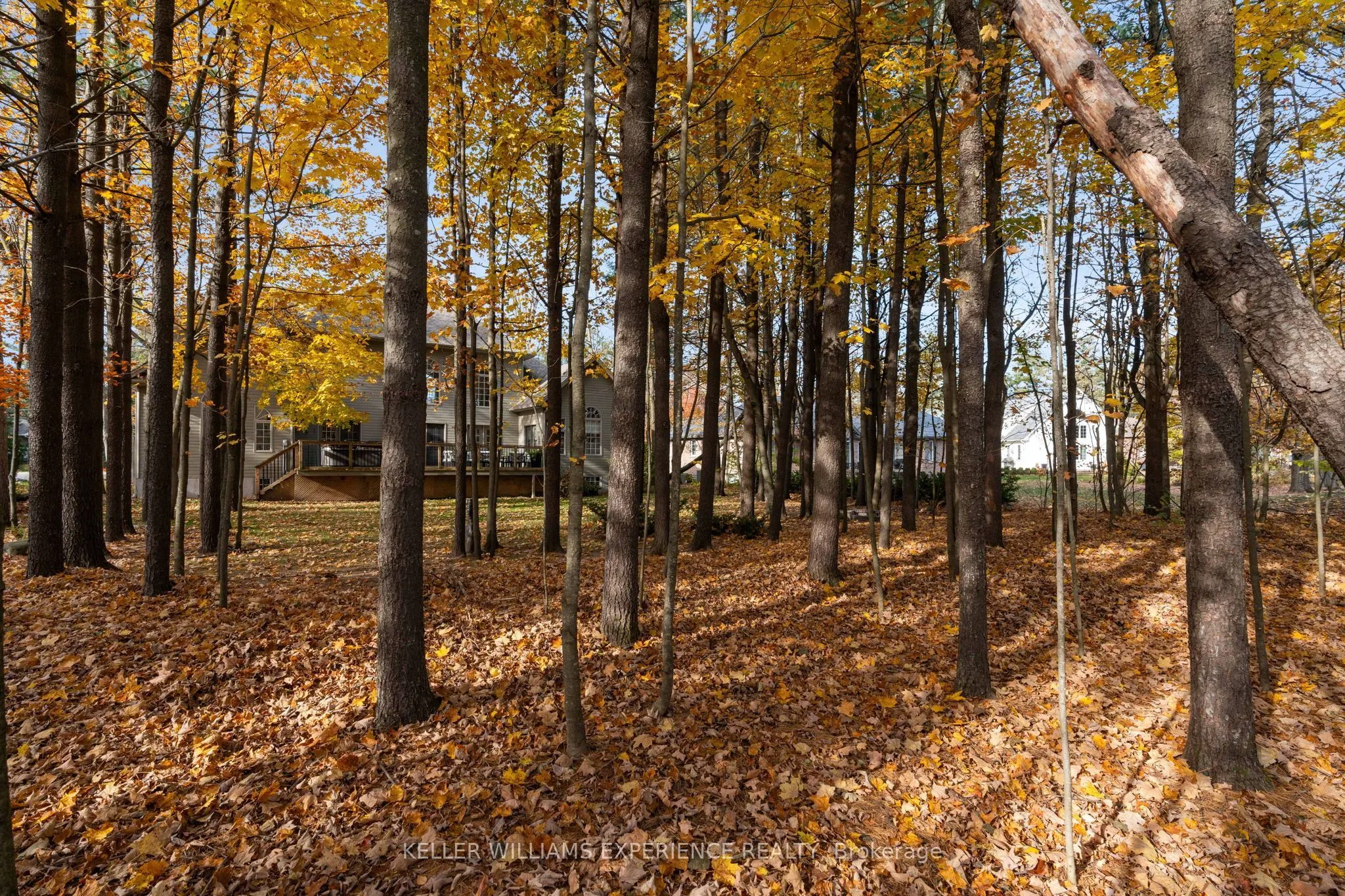 17 Fairway Court