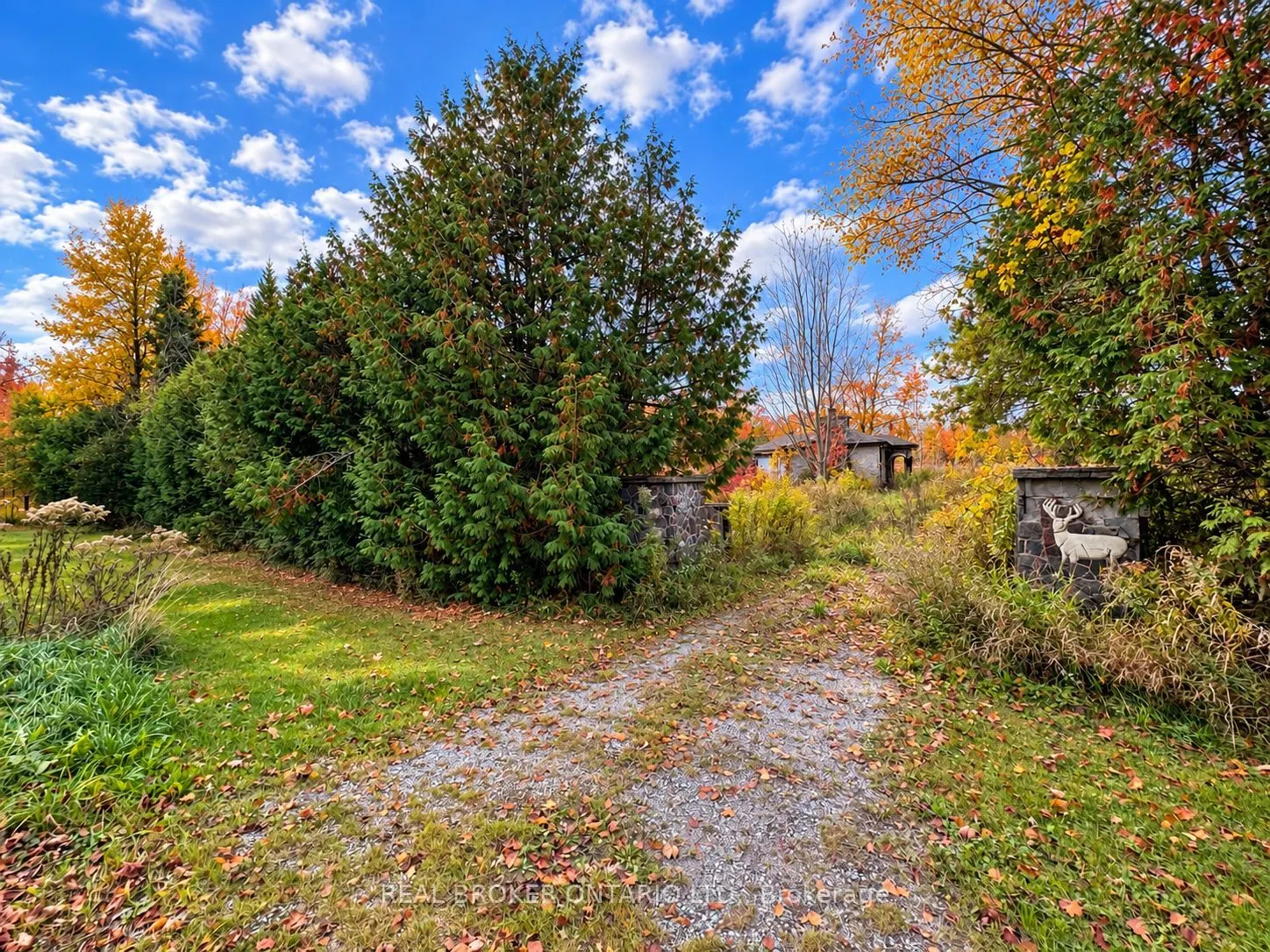 5654 Willison Side Road