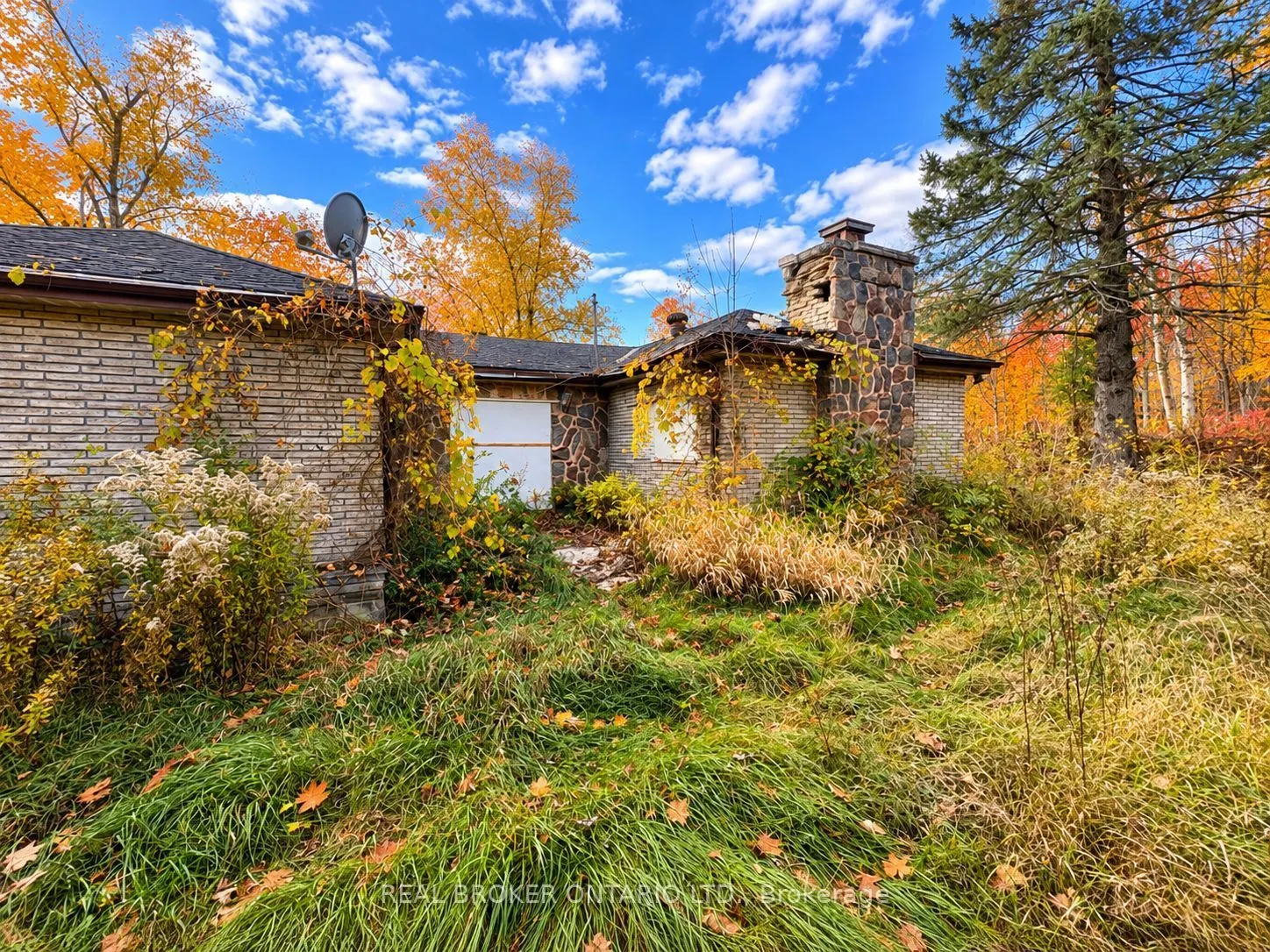 5654 Willison Side Road
