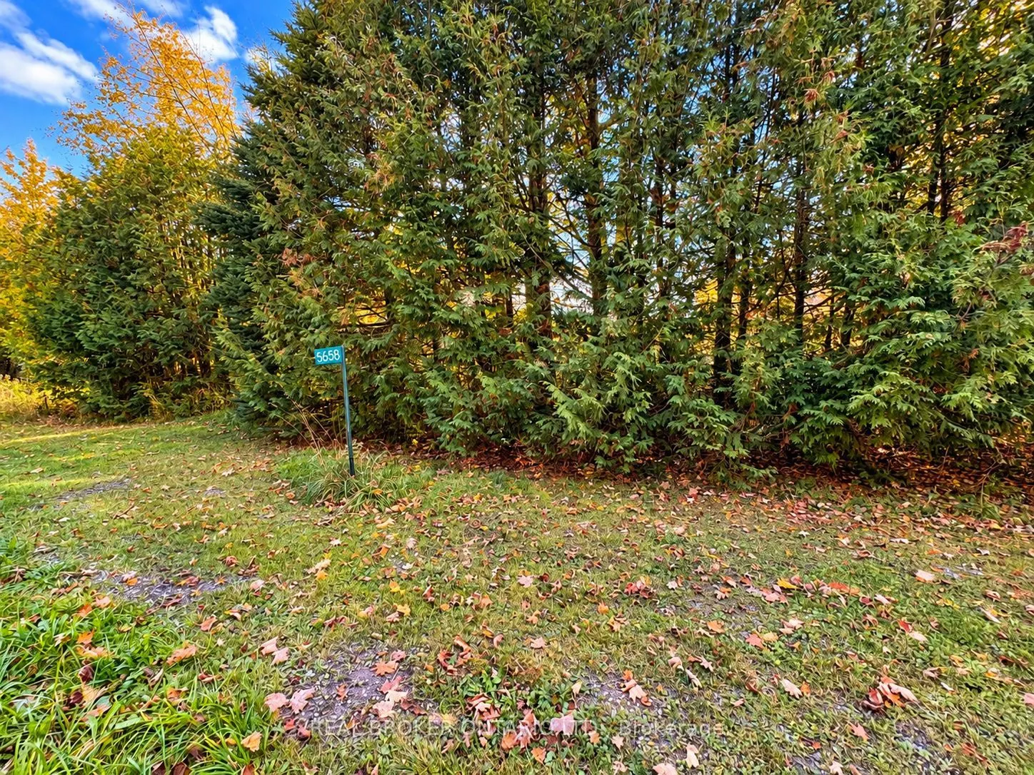5658 Willison Side Road