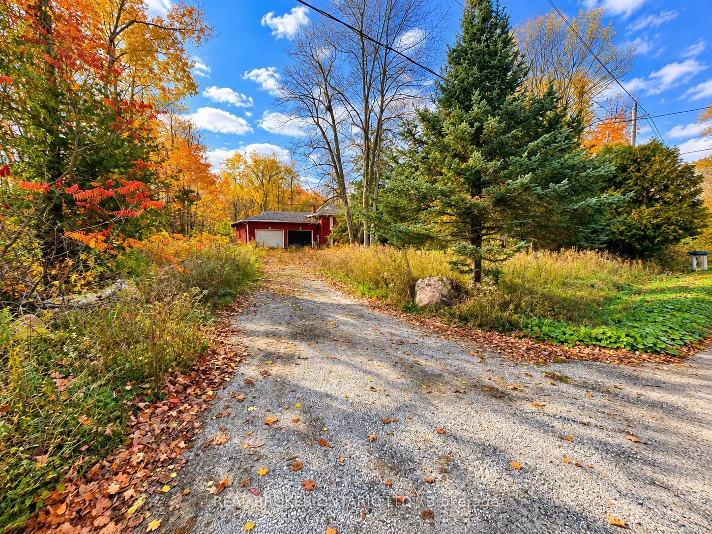 5670 Willison Side Road