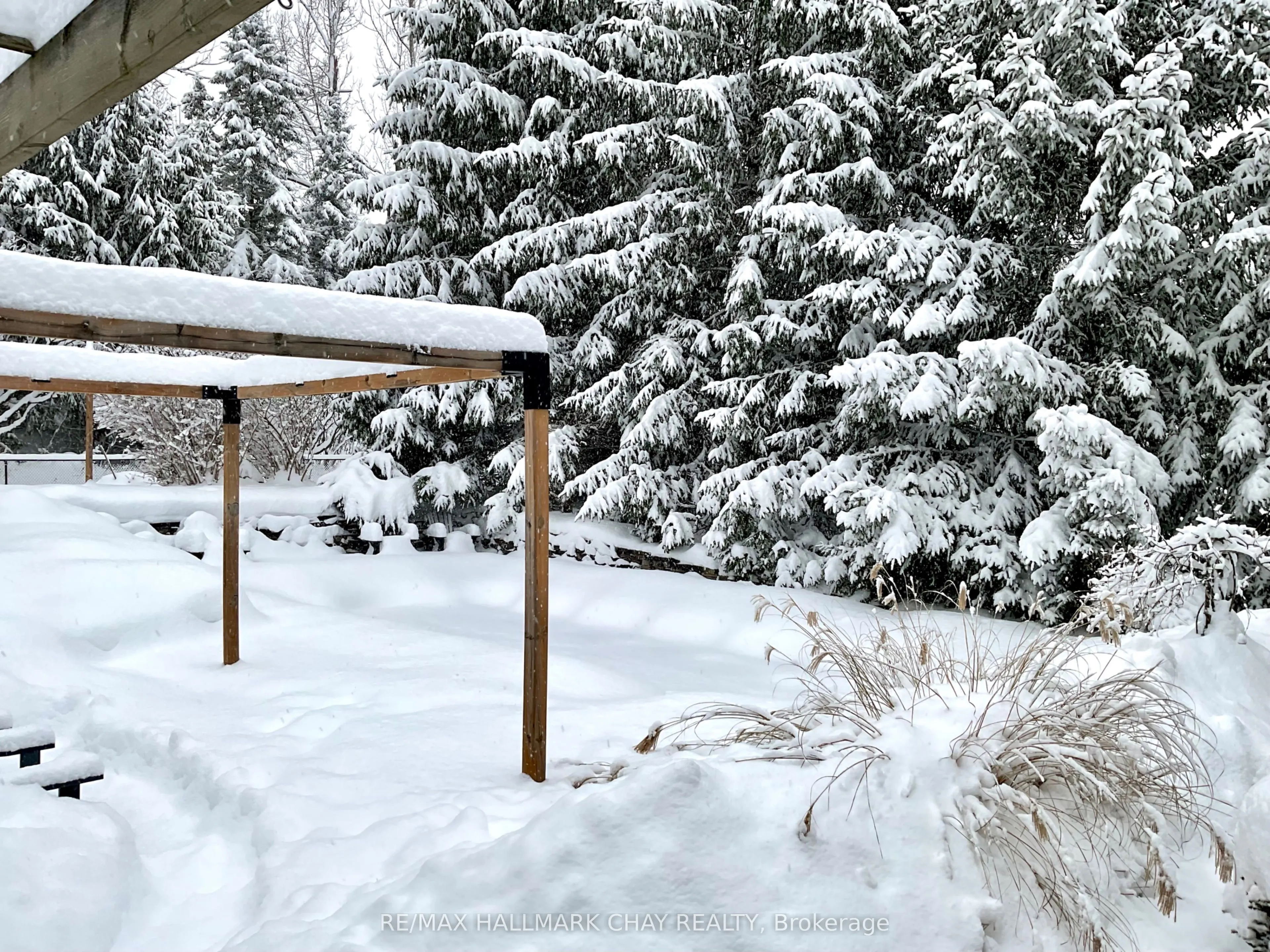 19 Eder Trail
