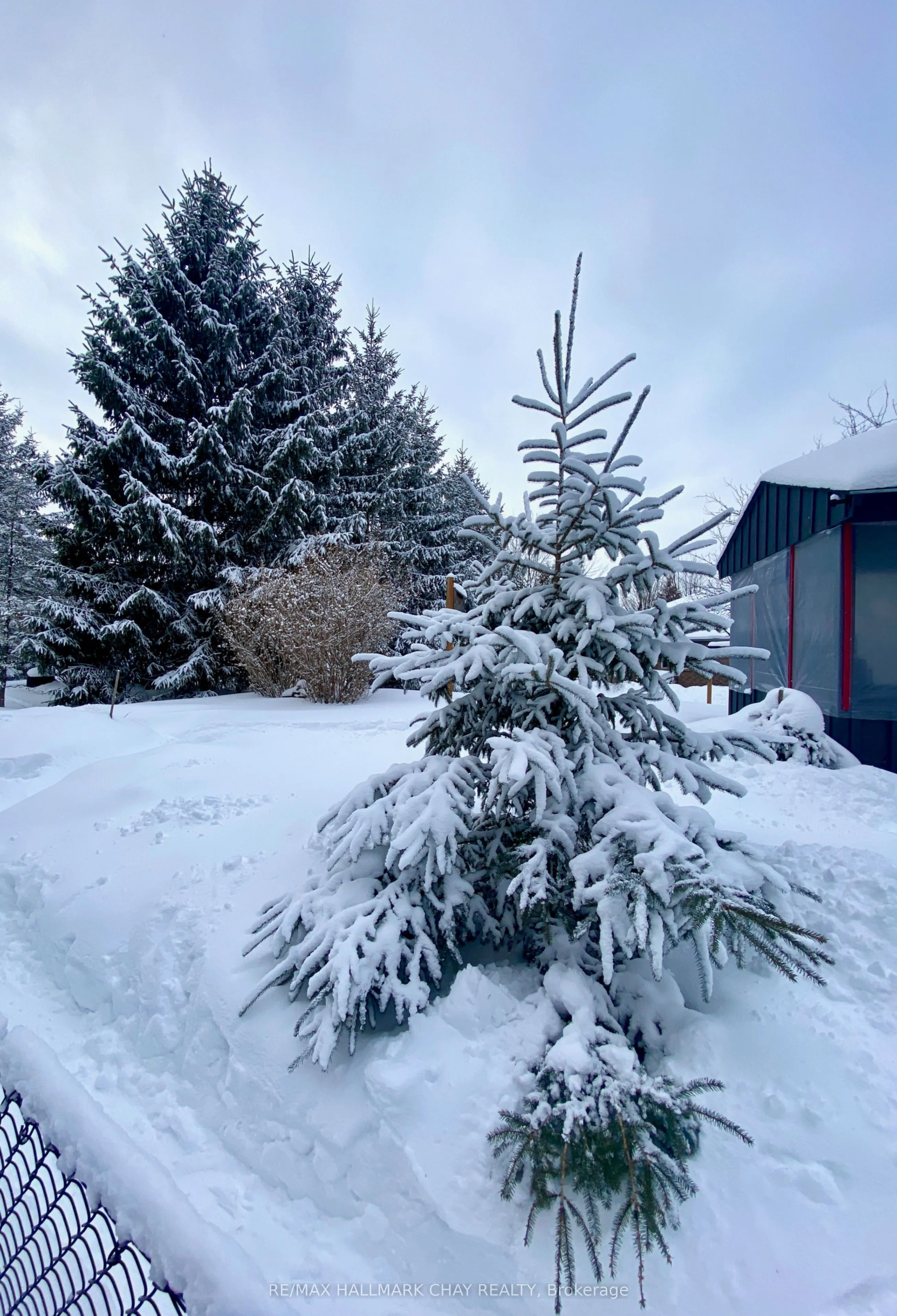 19 Eder Trail