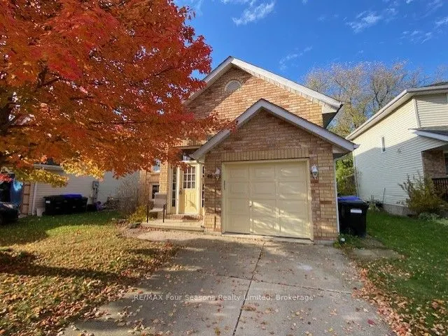 46 Dillon Drive