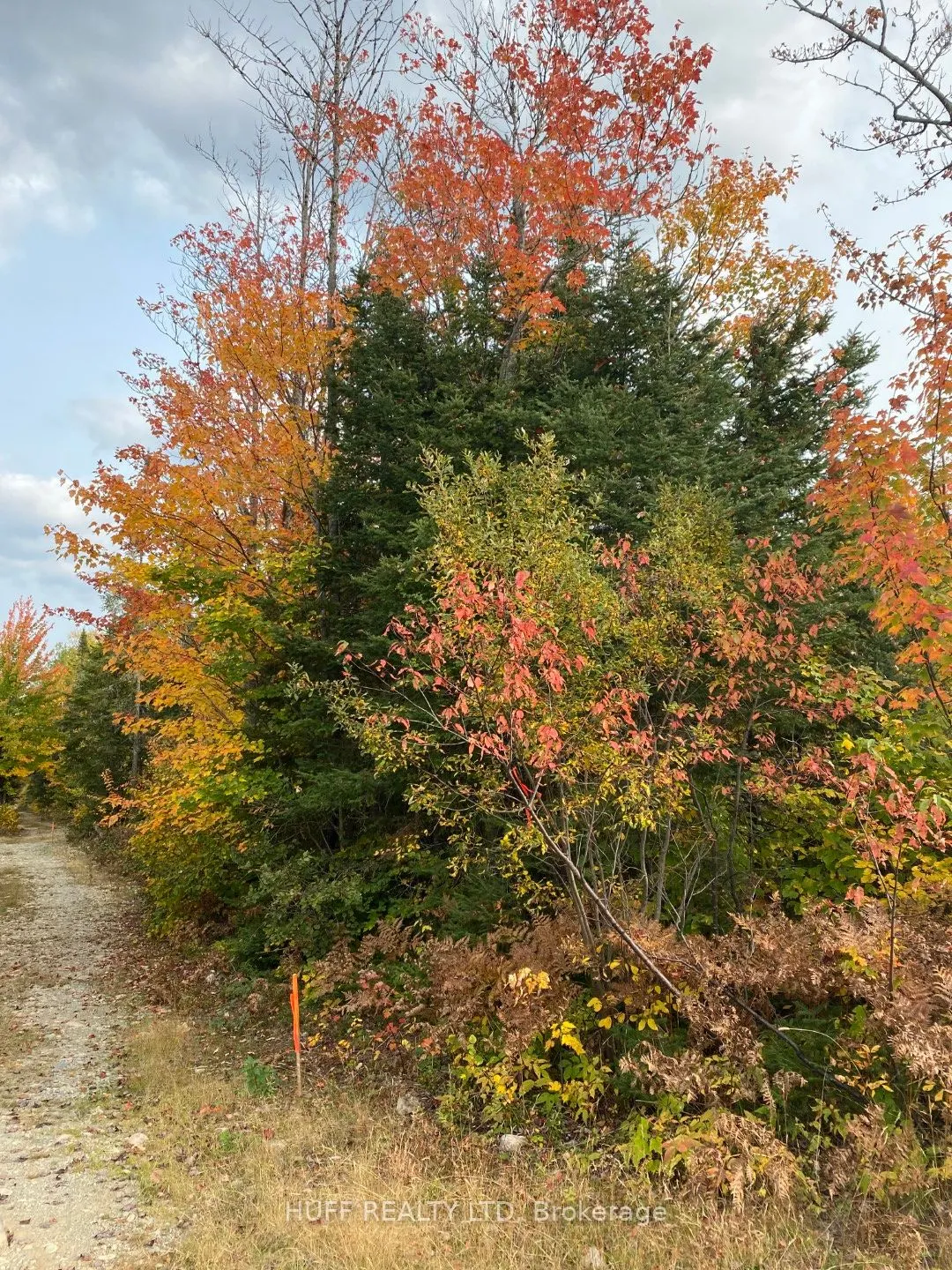 L1C1 54R-6371 Catharine Road