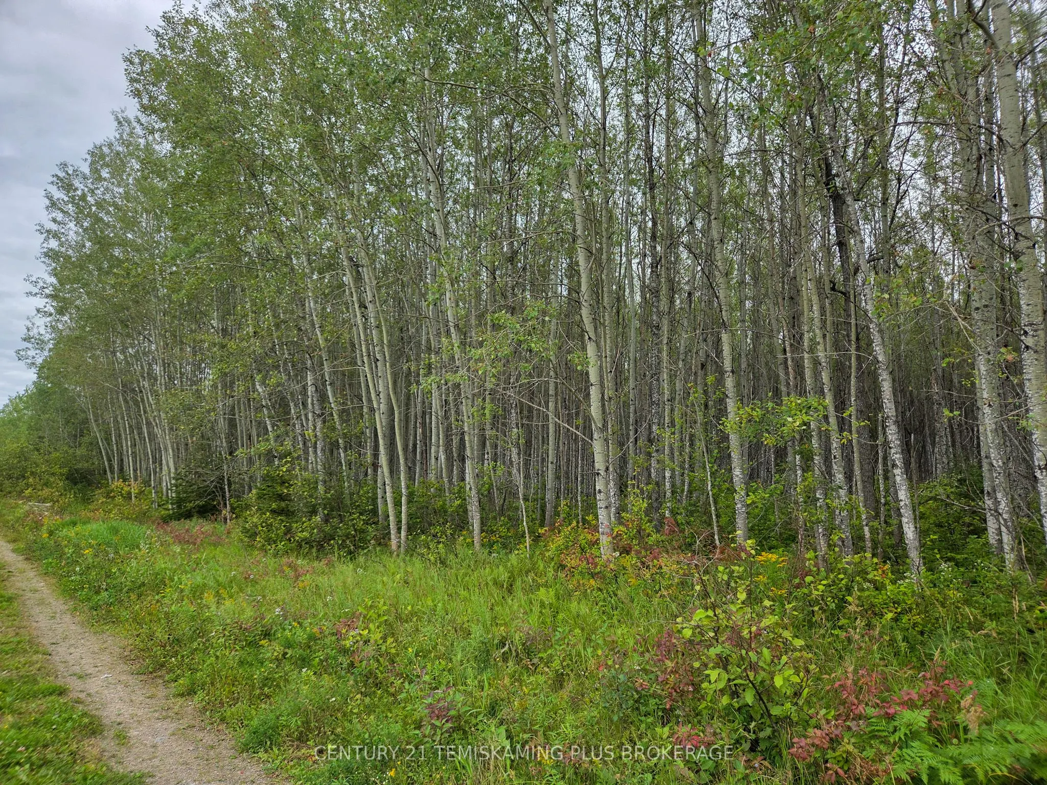 LT6C4 Spruce Grove Road