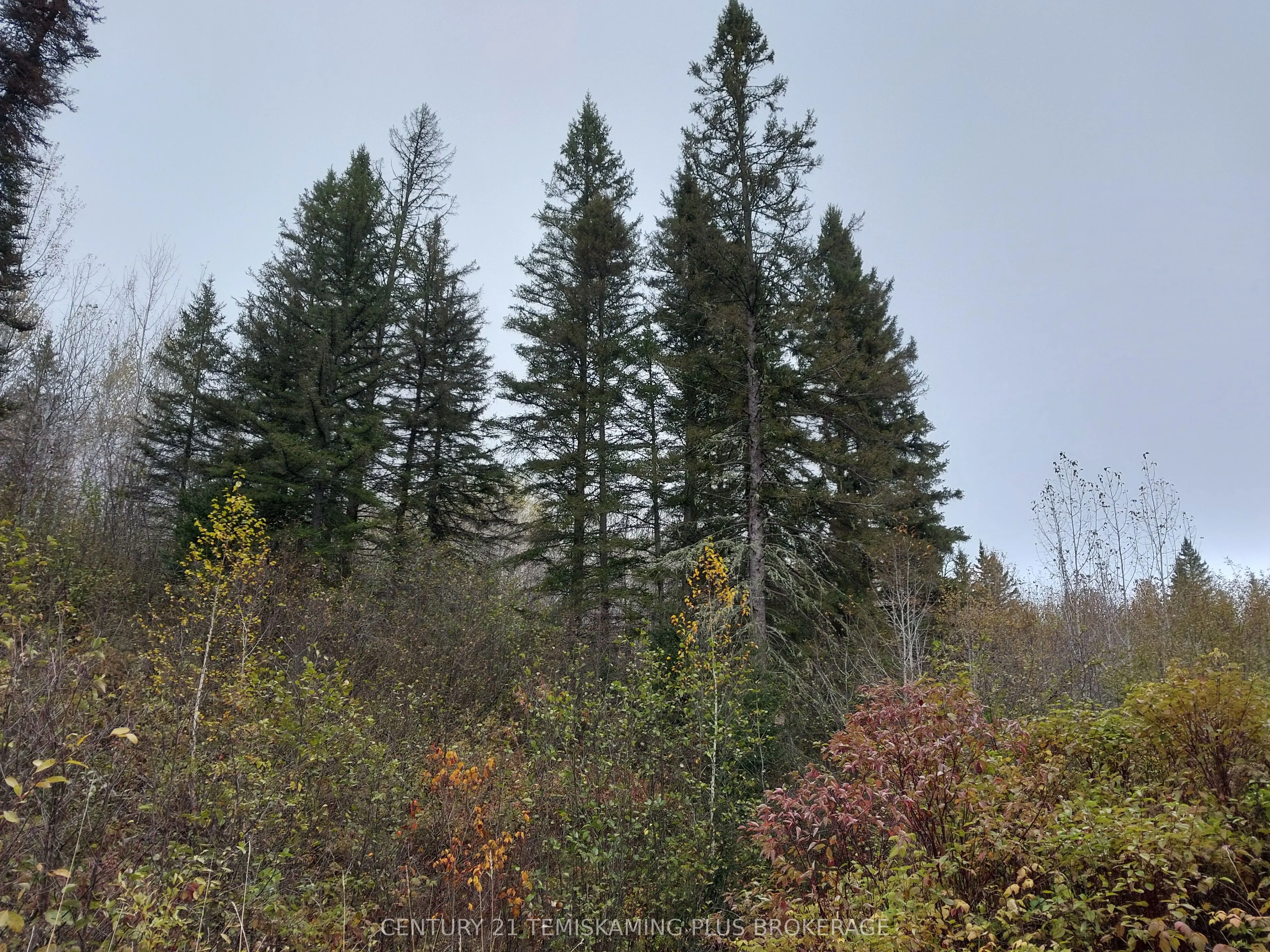 LT6C4 Spruce Grove Road