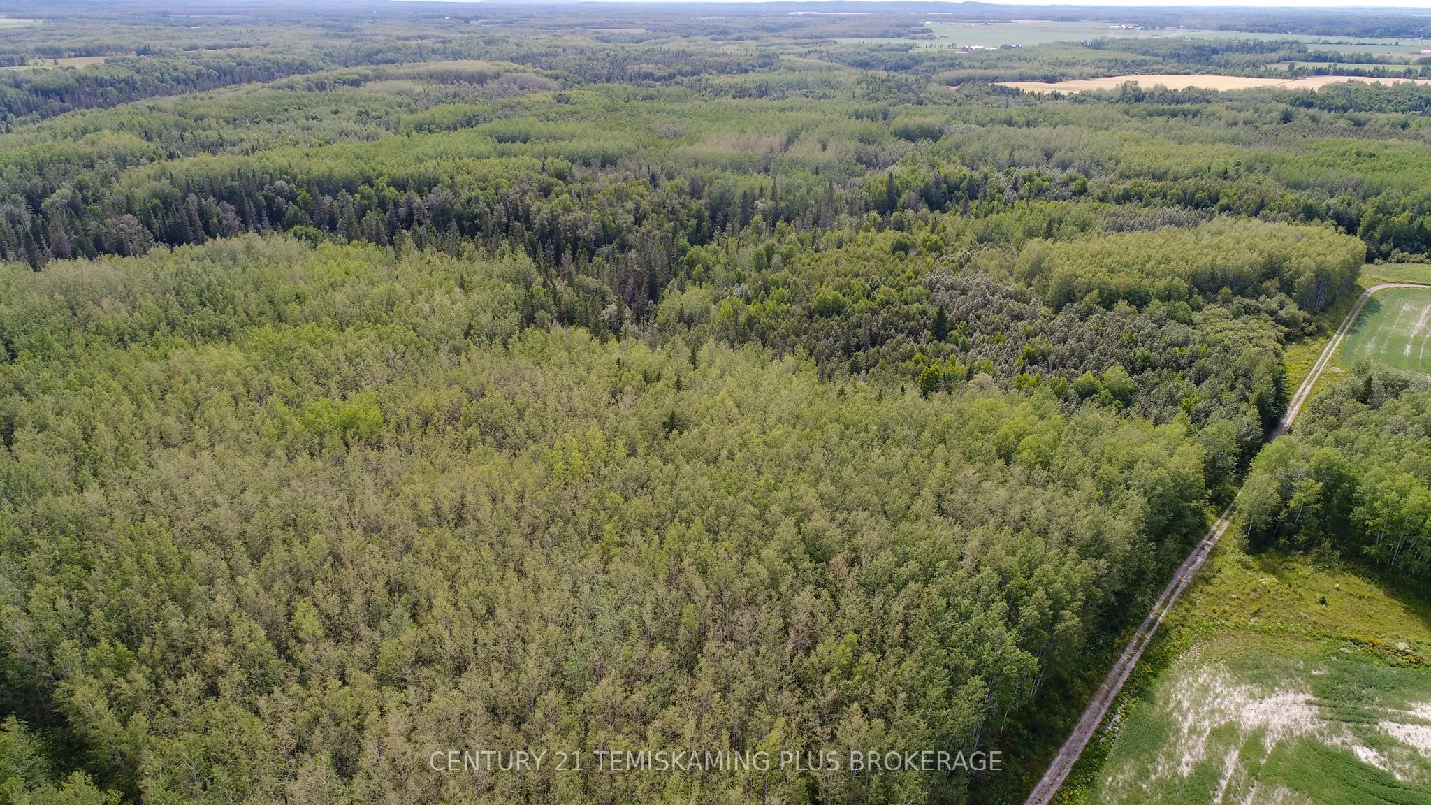 LT6C4 Spruce Grove Road