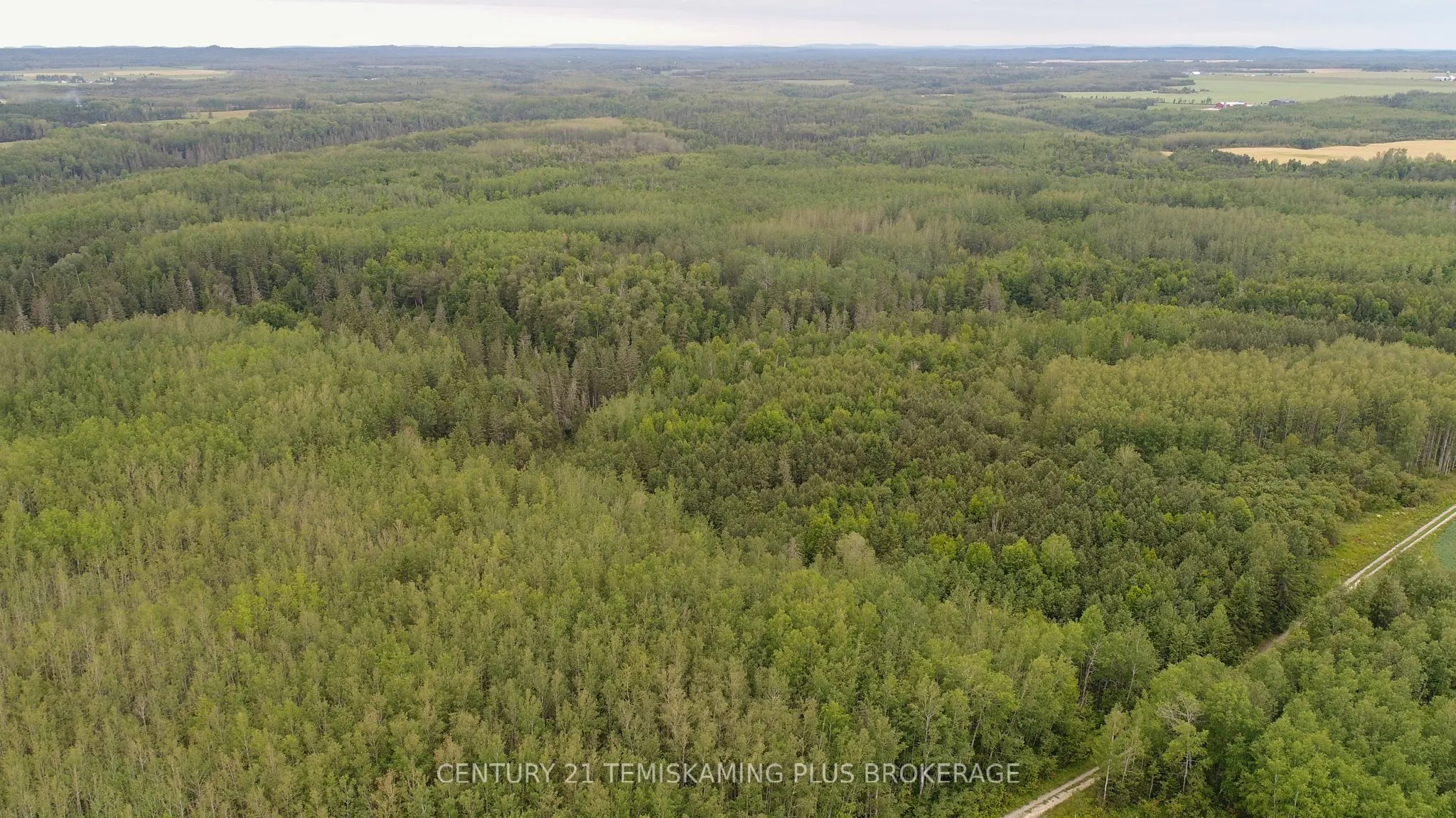 LT6C4 Spruce Grove Road
