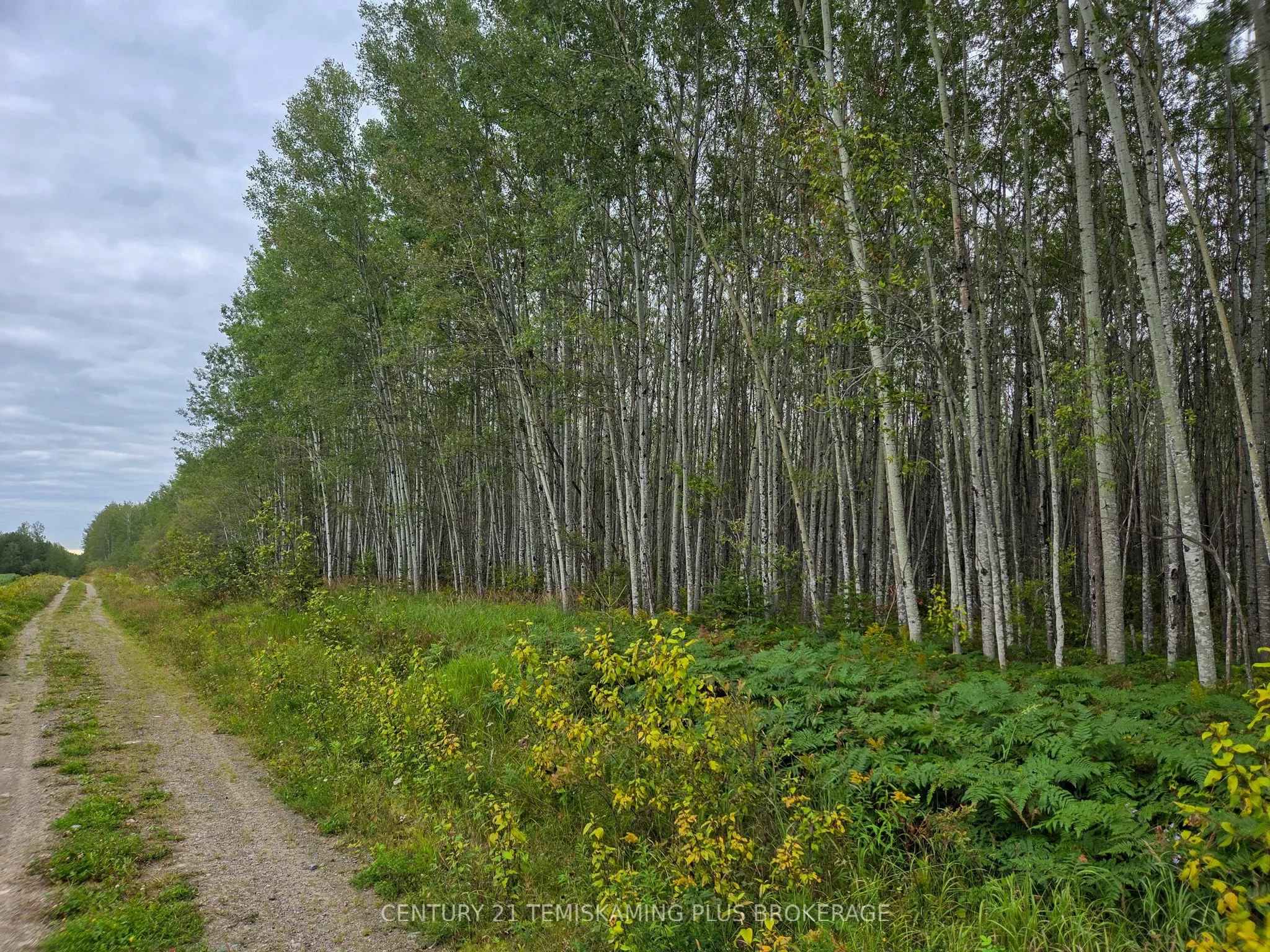 LT6C4 Spruce Grove Road