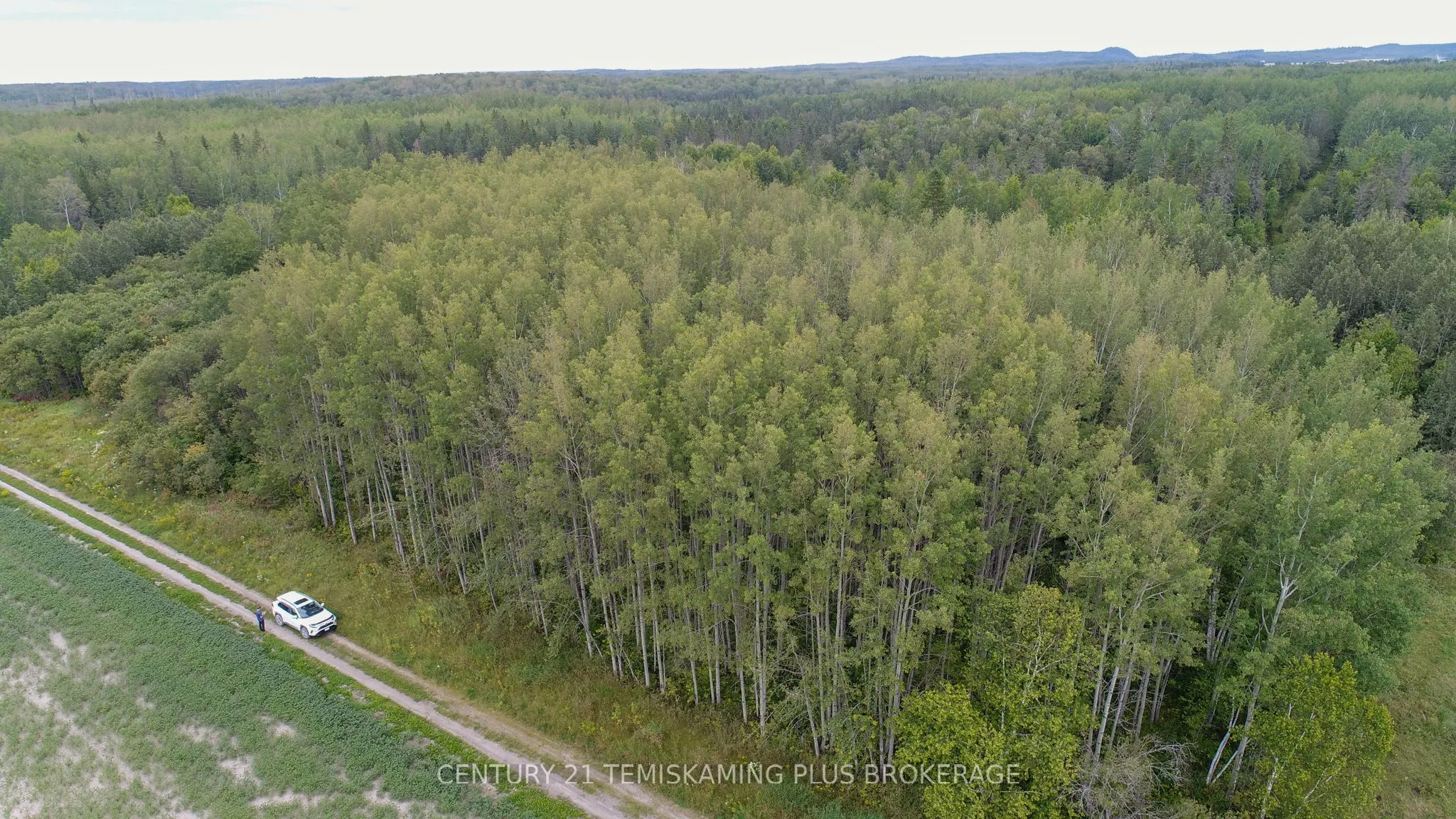 LT6C4 Spruce Grove Road