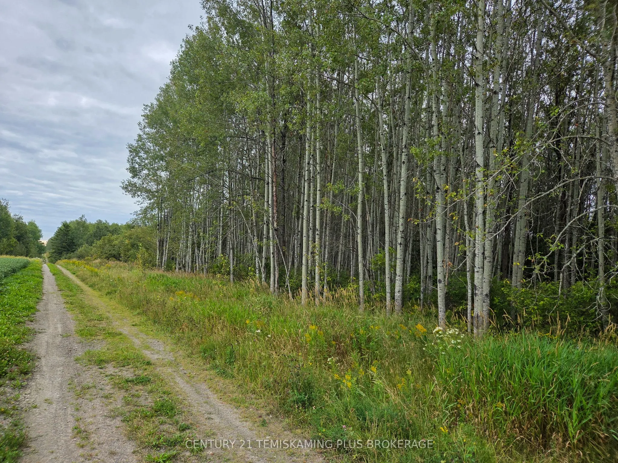LT6C4 Spruce Grove Road