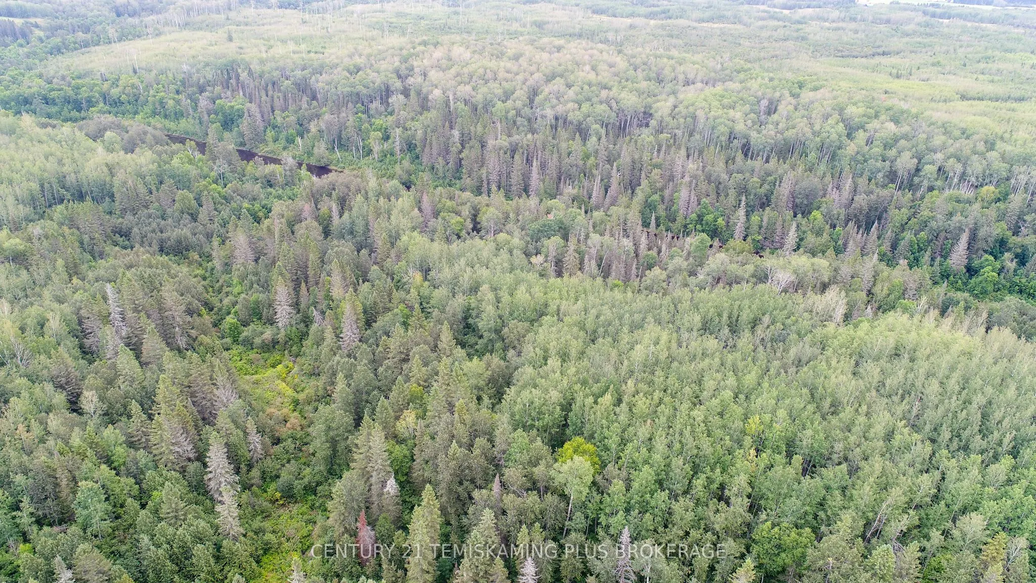 LT6C4 Spruce Grove Road