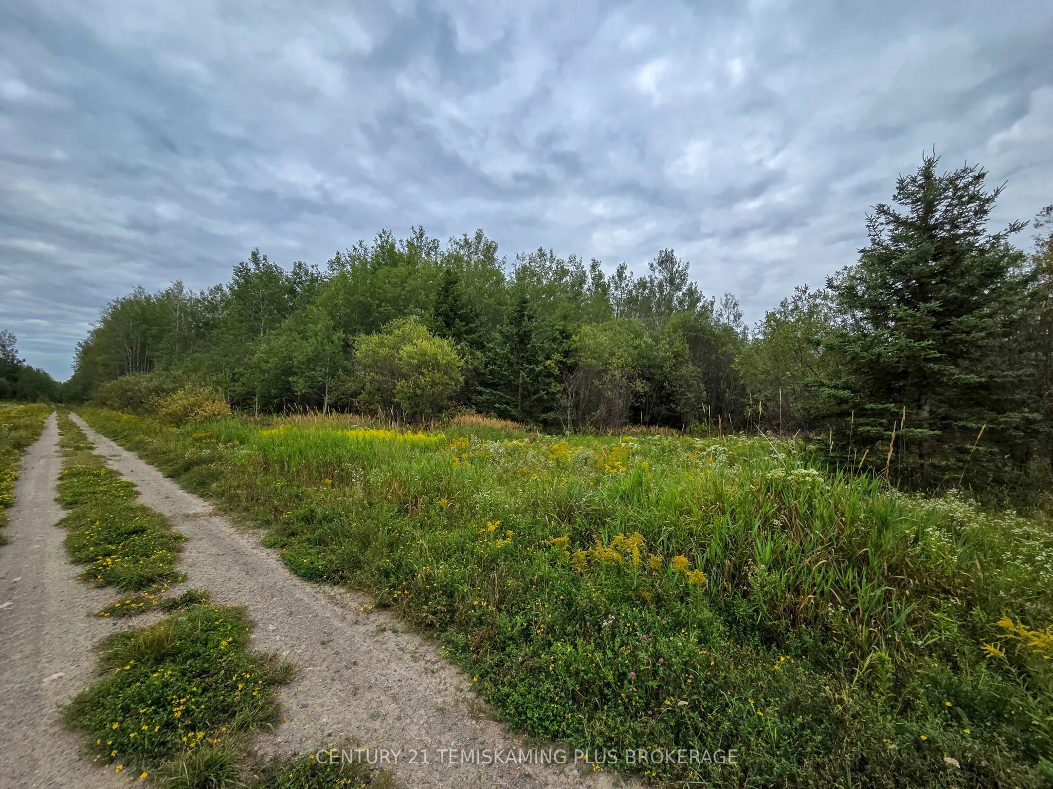 LT6C4 Spruce Grove Road