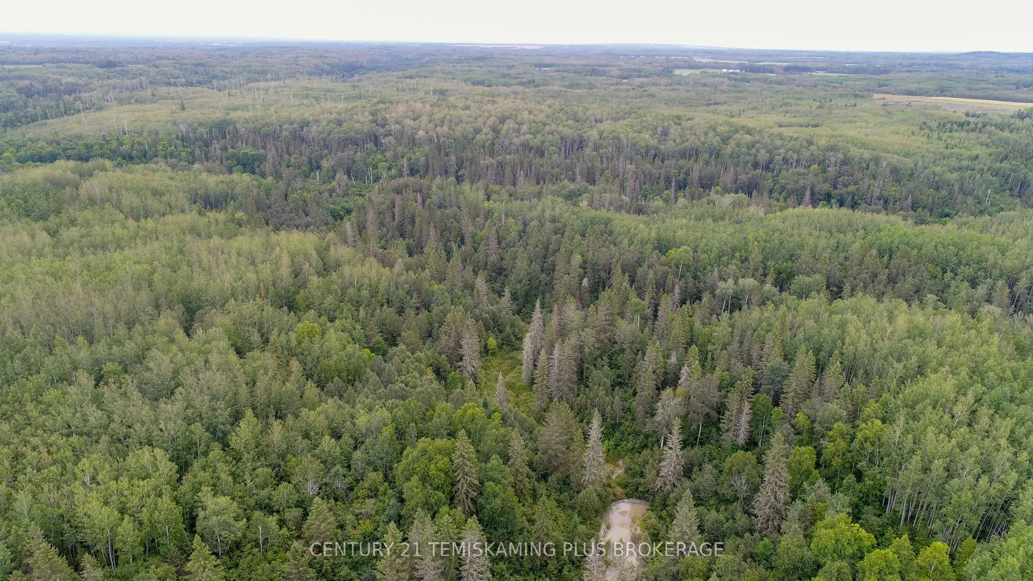 LT6C4 Spruce Grove Road