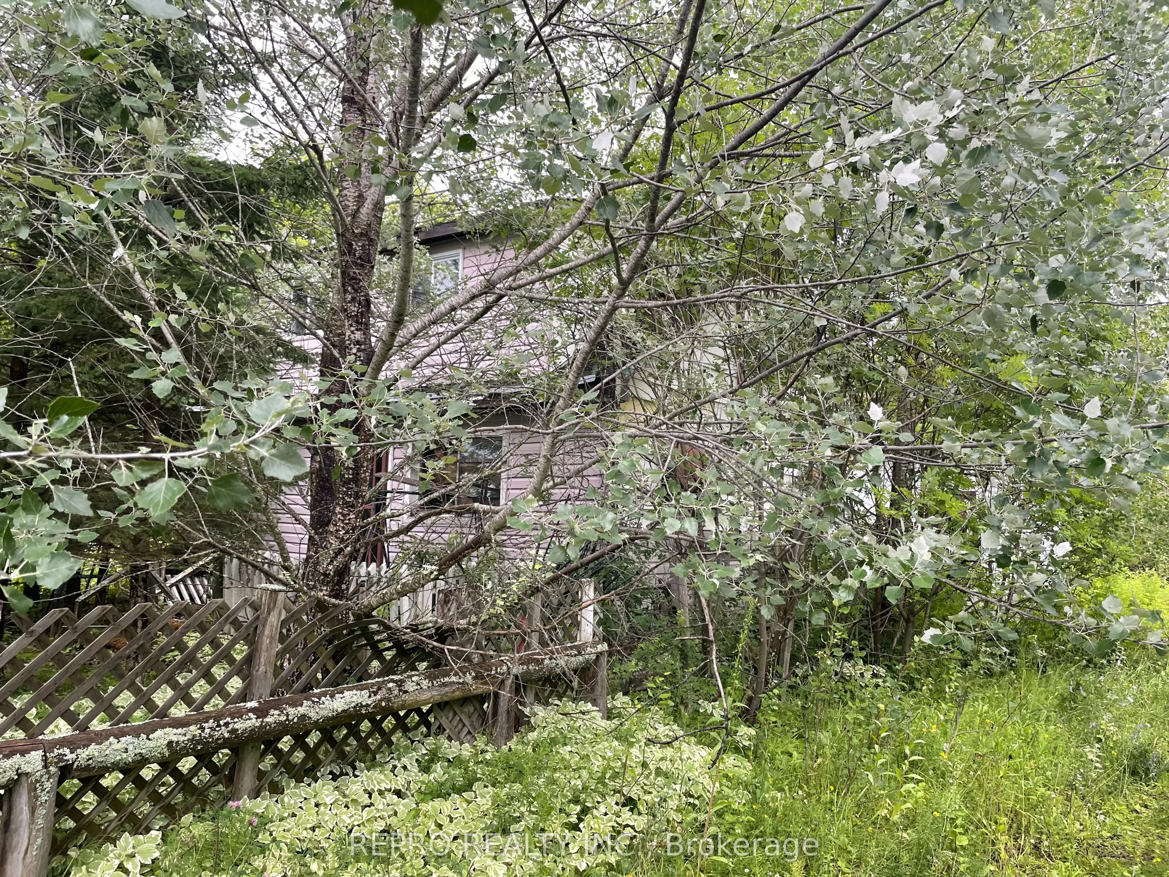 65 Edward Street