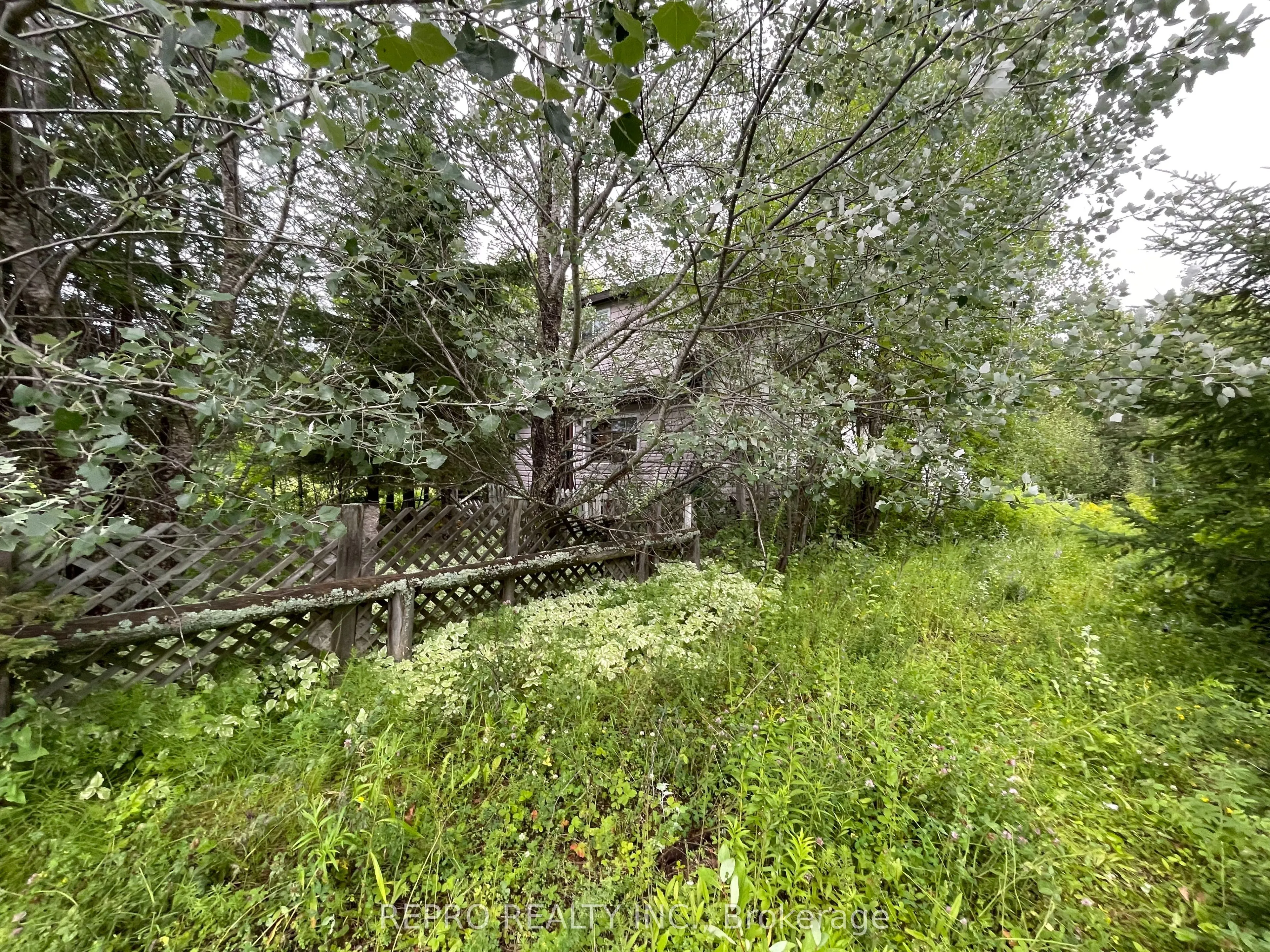 65 Edward Street