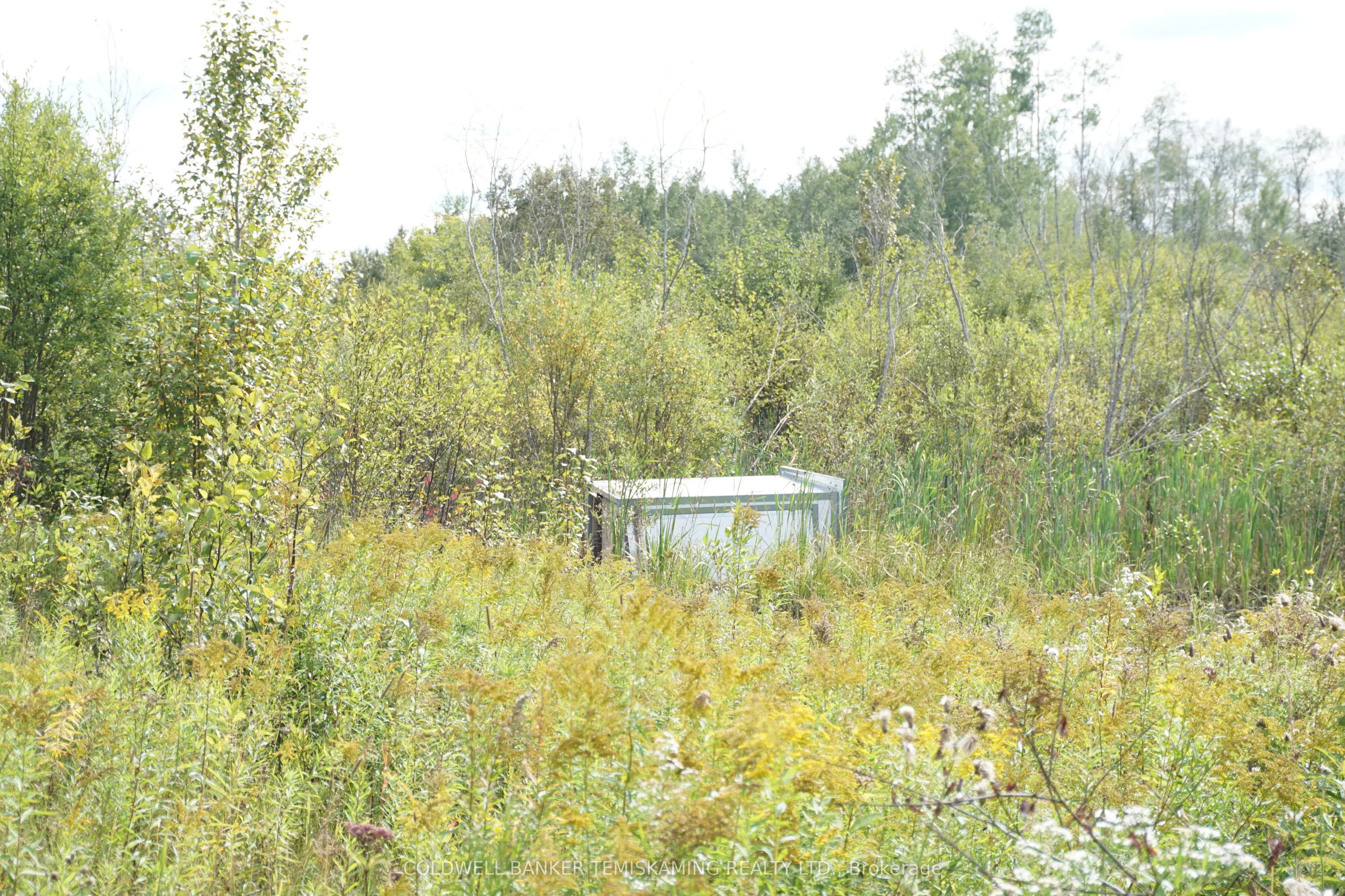 Lot 1 CAMPBELL'S Road