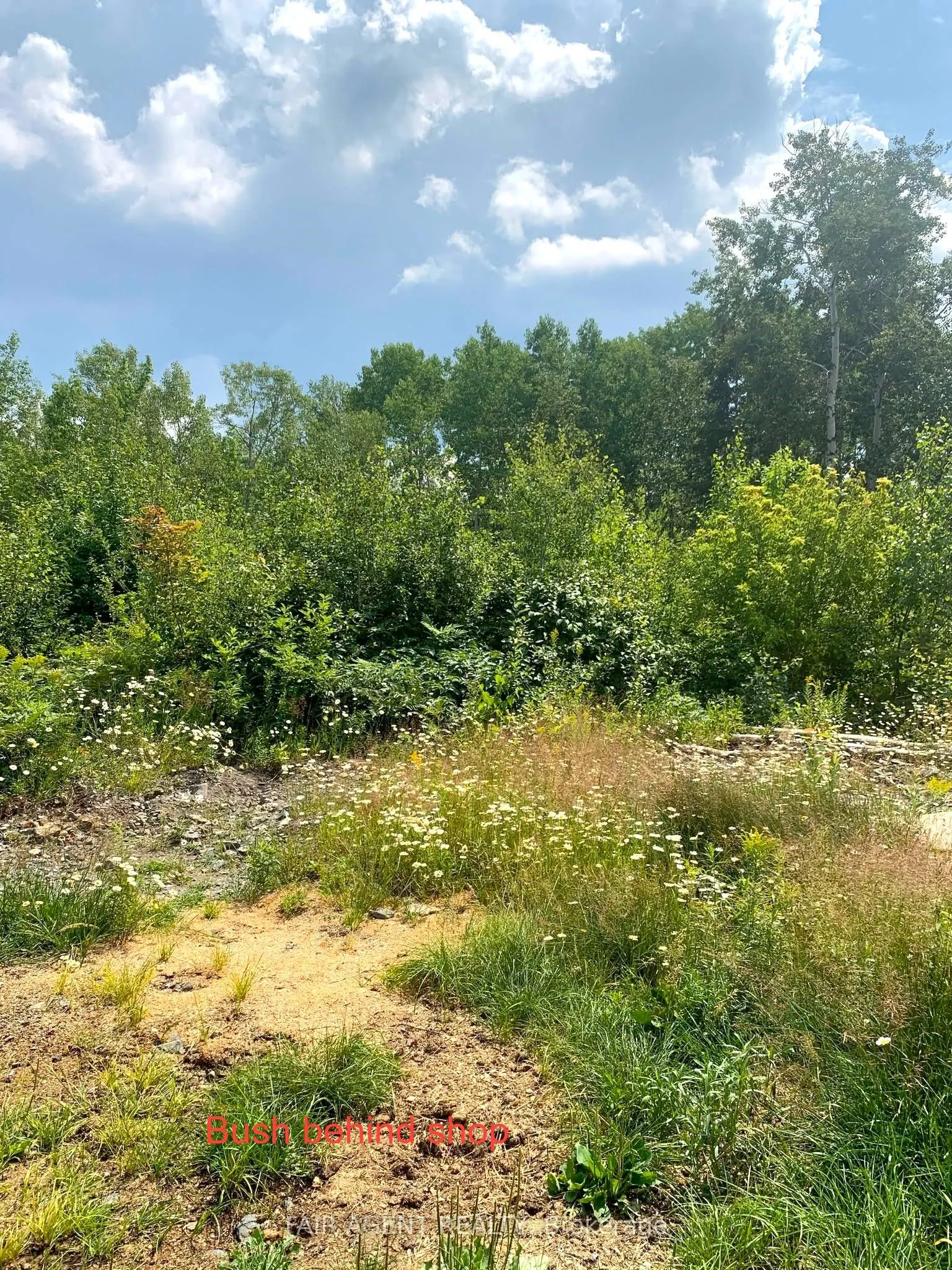 975140 Silver Centre Road