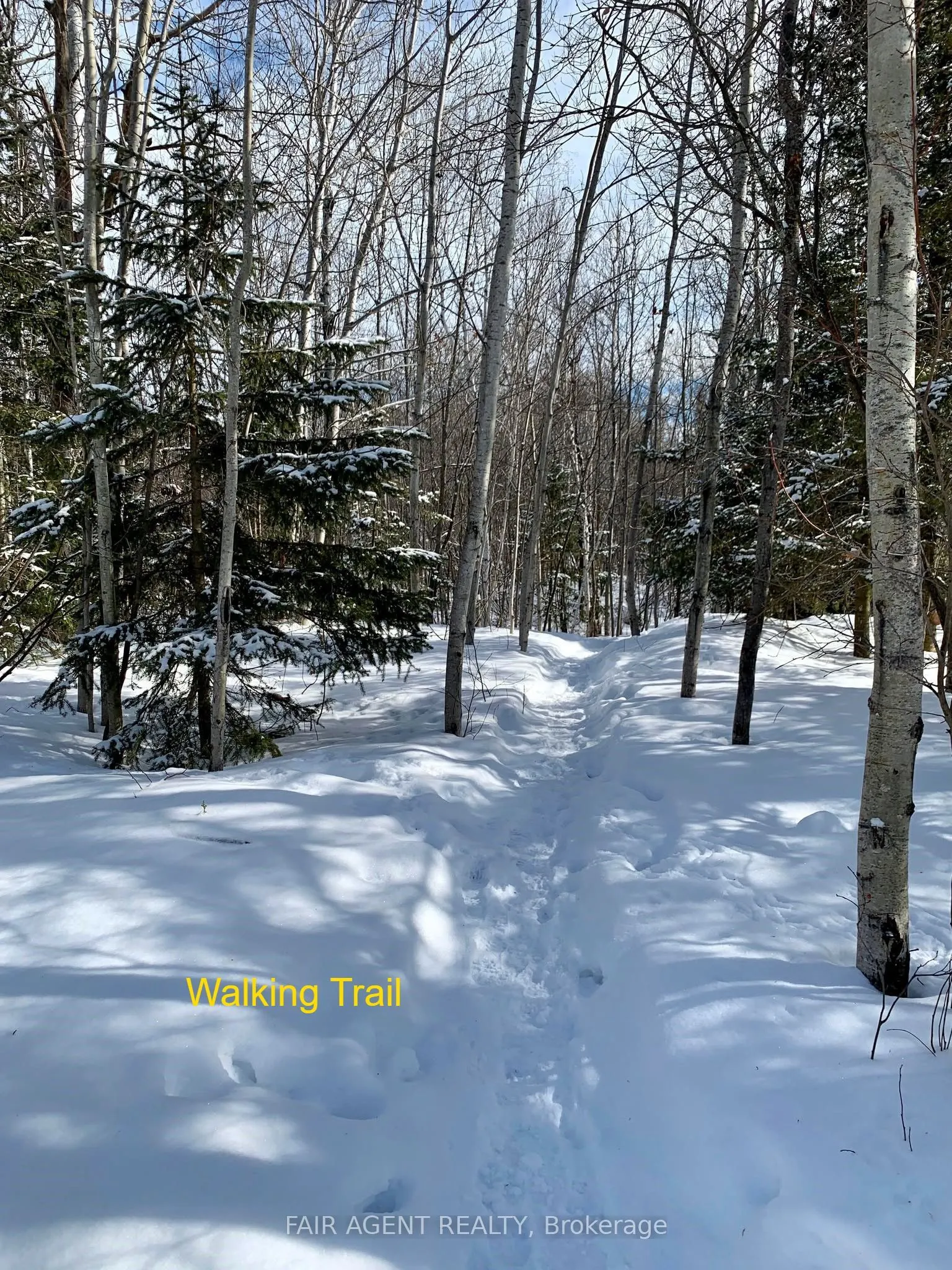 975140 Silver Centre Road