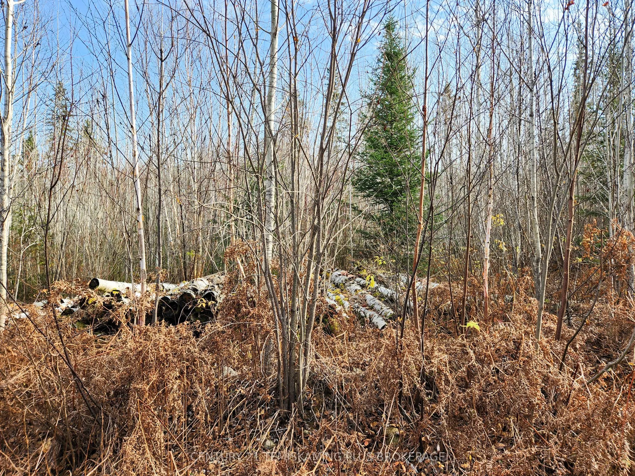 Lot 11 Con 4, Long Lake