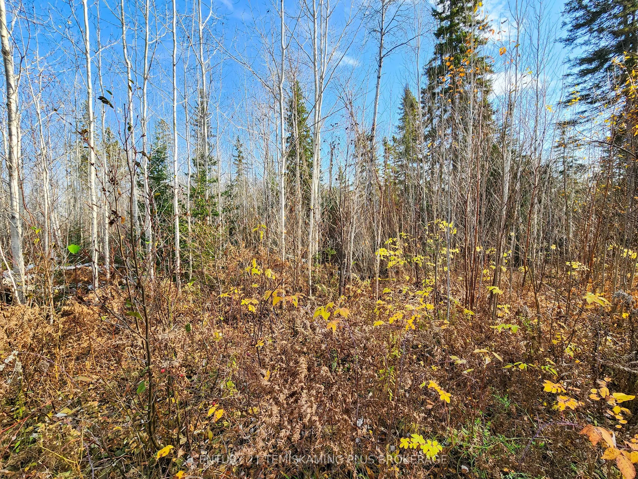 Lot 11 Con 4, Long Lake