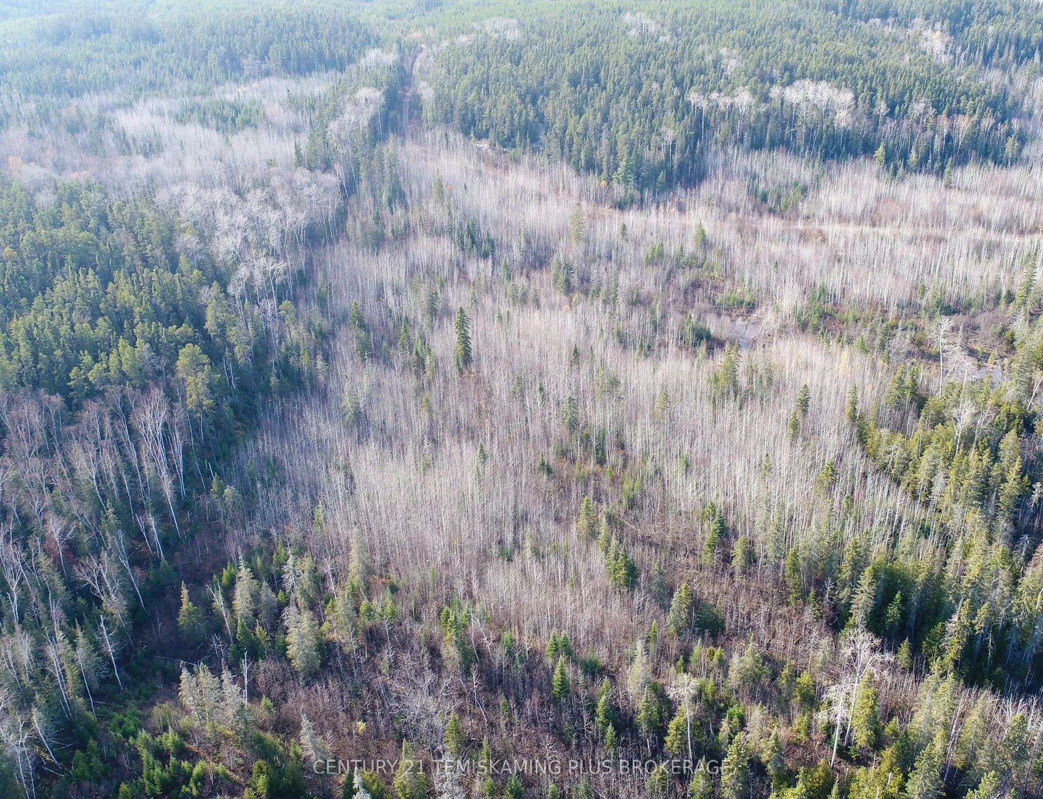 Lot 11 Con 4, Long Lake