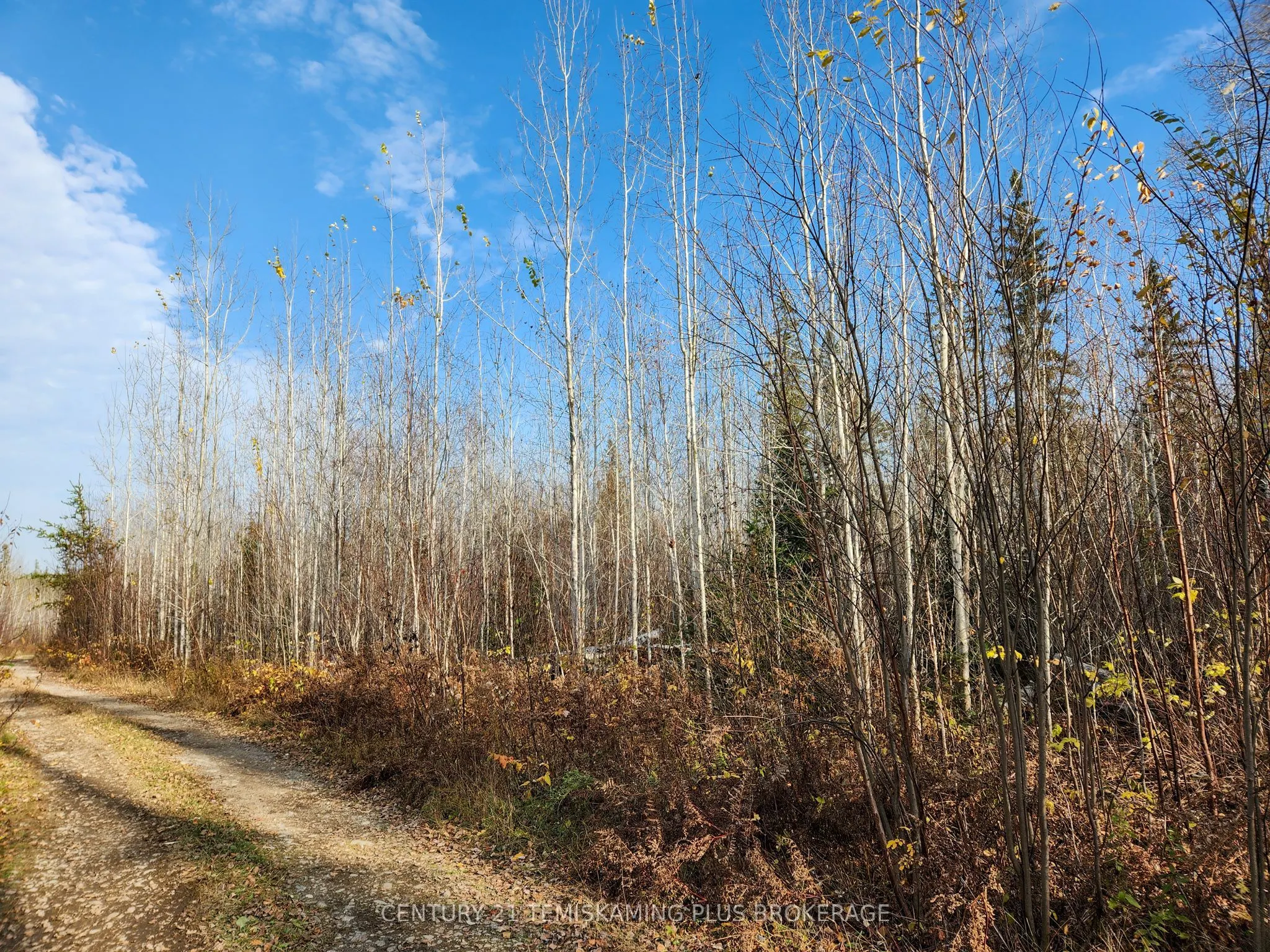 Lot 11 Con 4, Long Lake