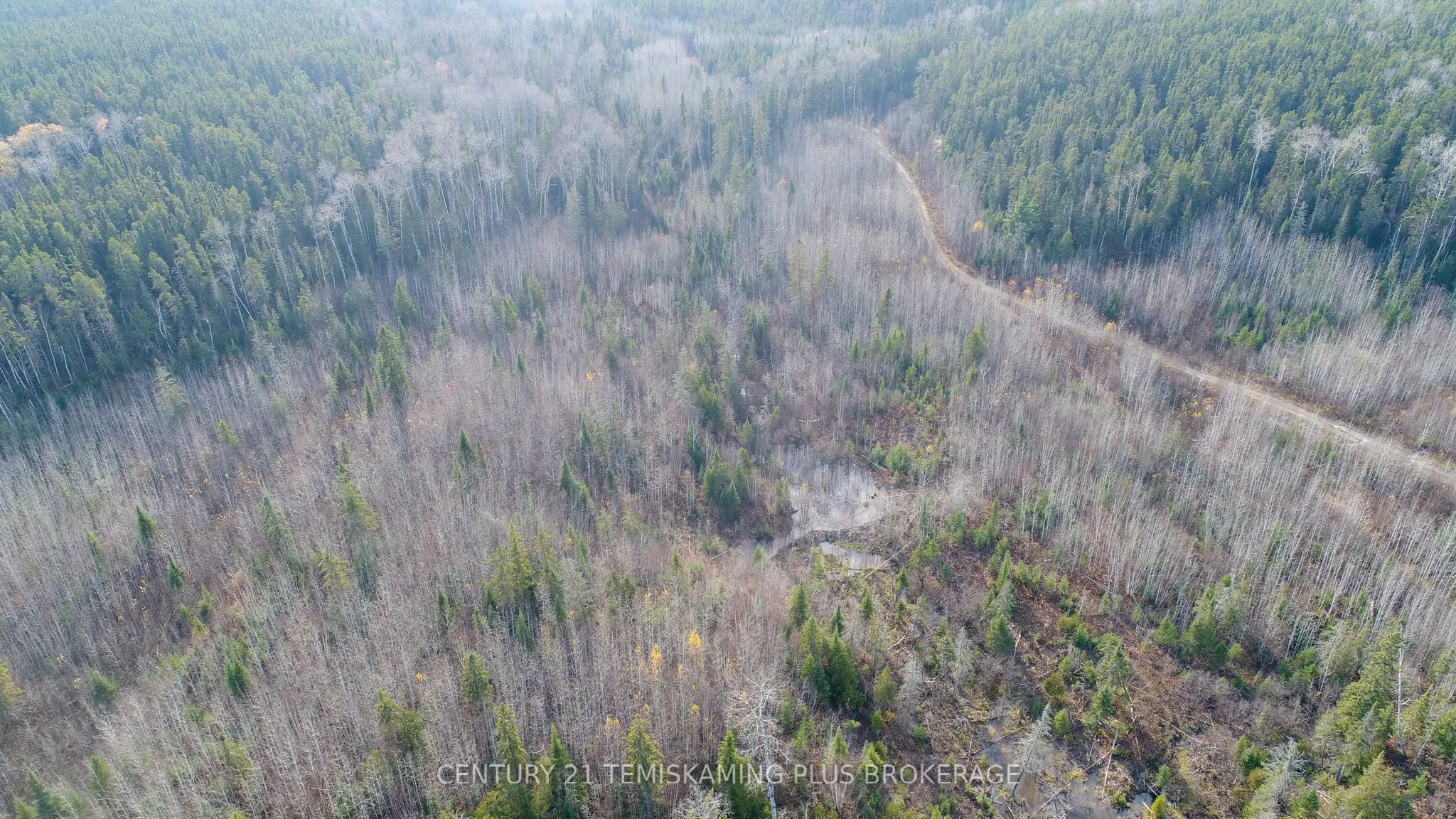 Lot 11 Con 4, Long Lake