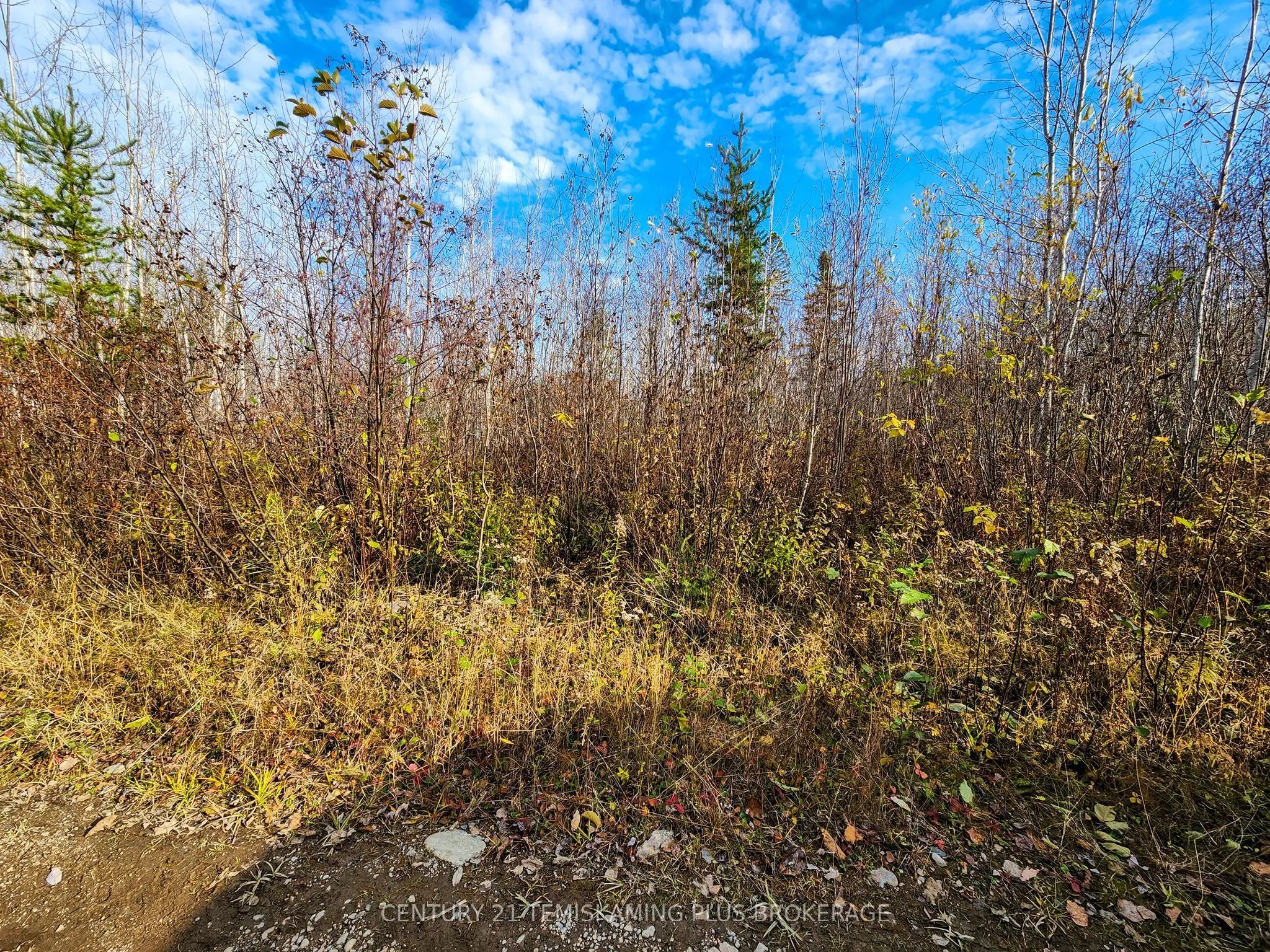 Lot 11 Con 4, Long Lake
