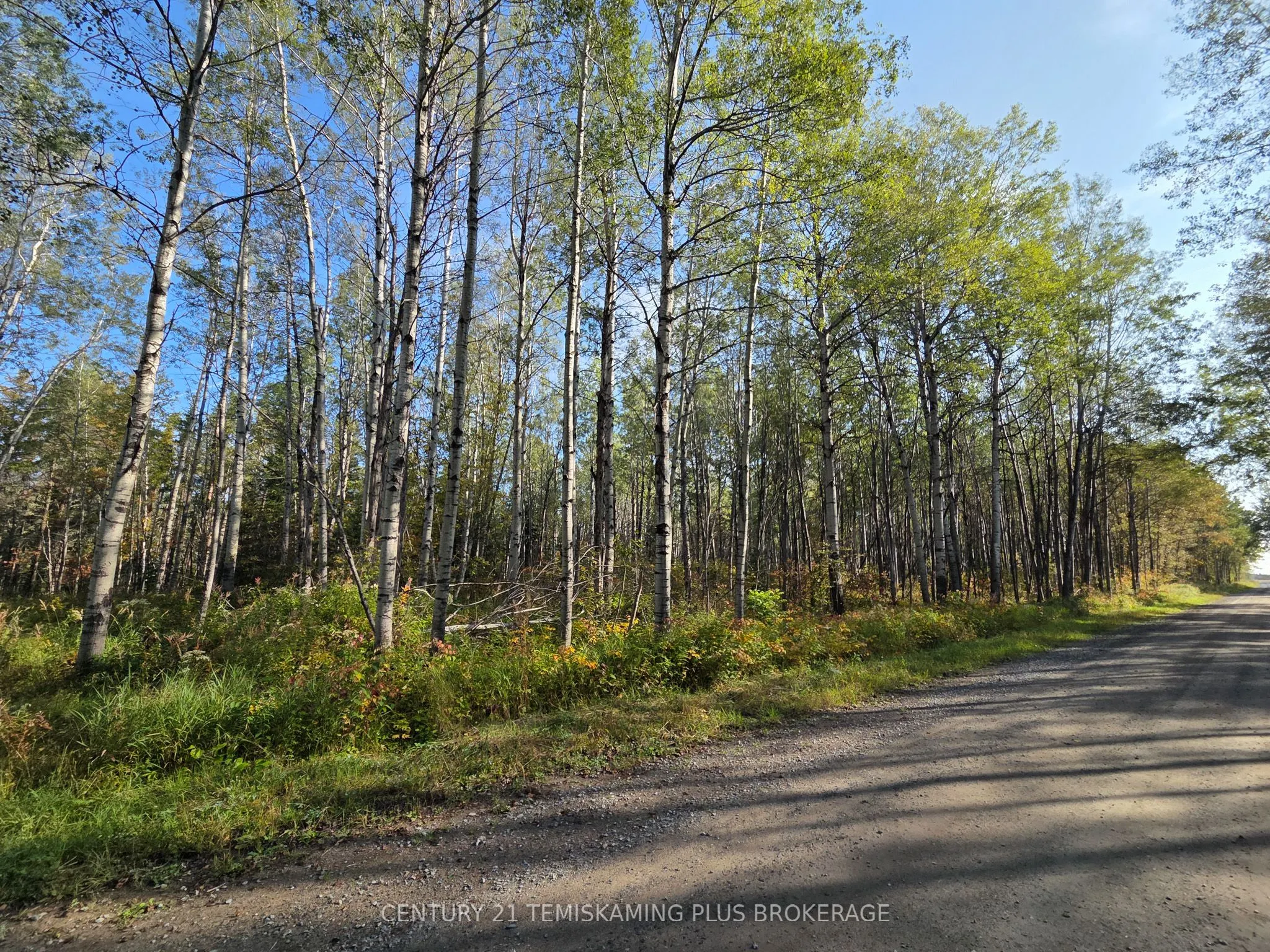 774038 Bear Road
