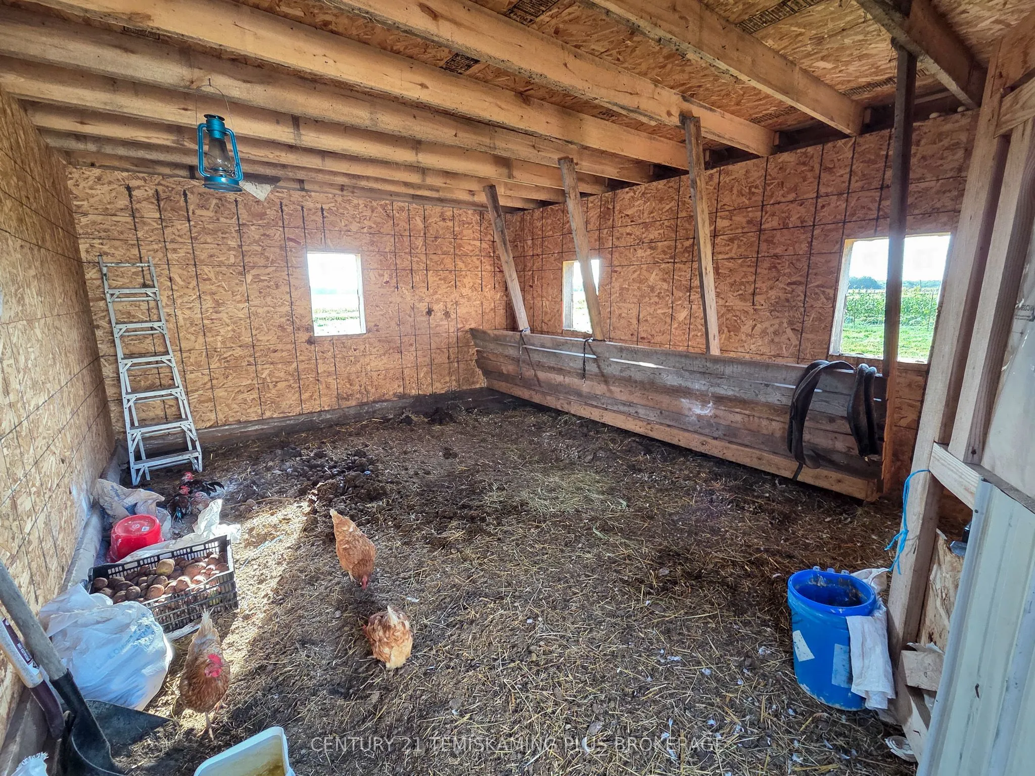 774038 Bear Road