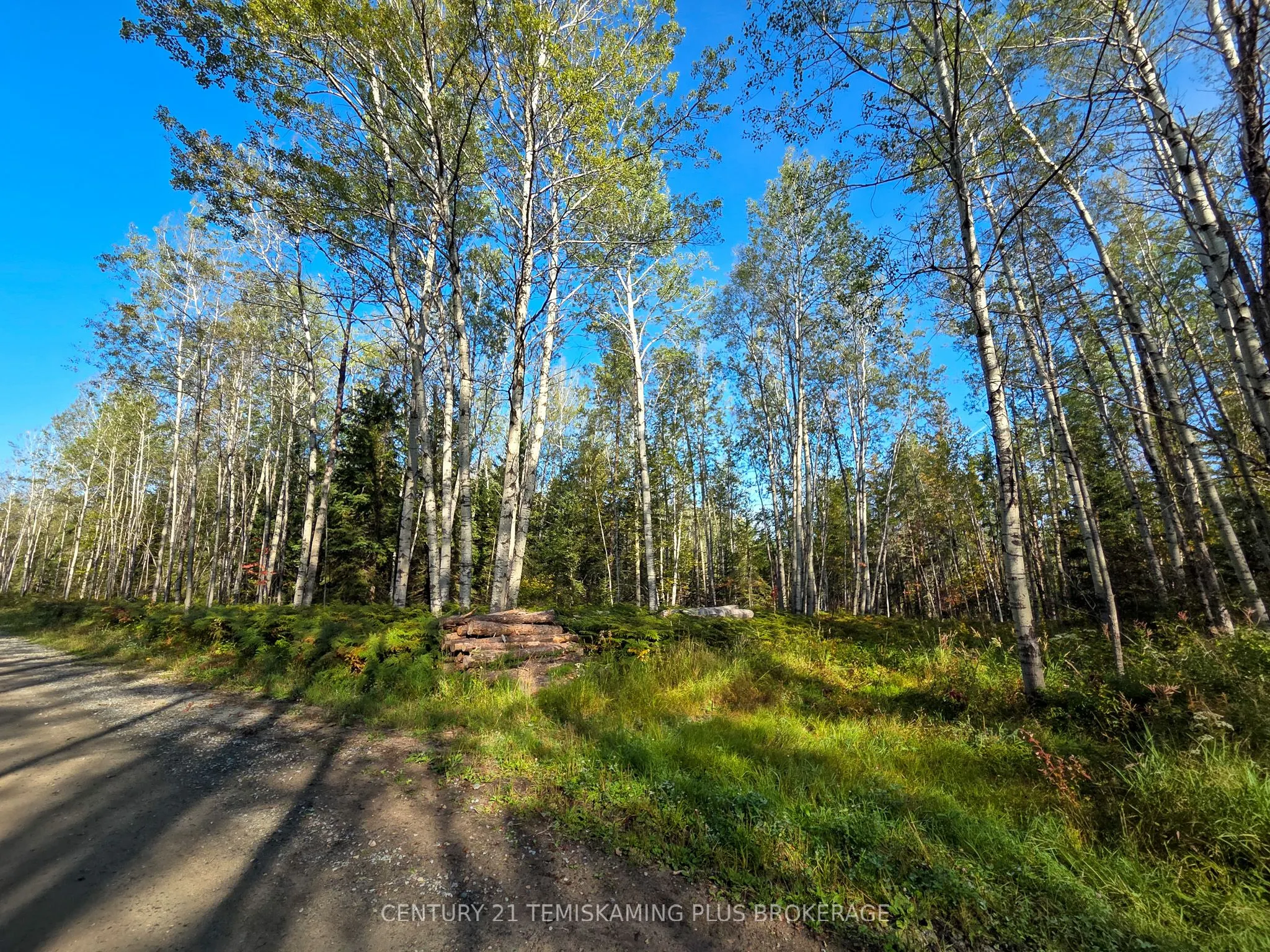 774038 Bear Road