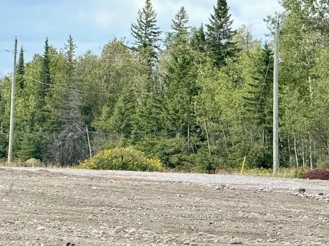 0 Highway 11 North Highway, #41 ACRE PROPERTY