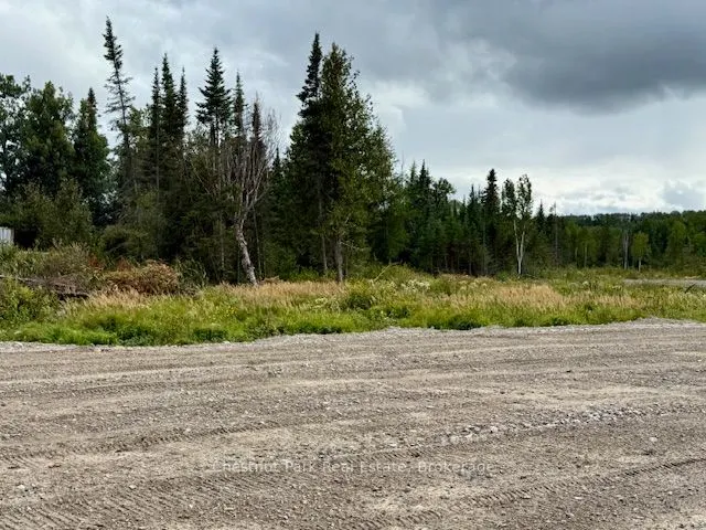 0 Highway 11 North Highway, #41 ACRE PROPERTY
