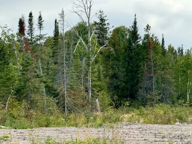 0 Highway 11 North Highway, #41 ACRE PROPERTY