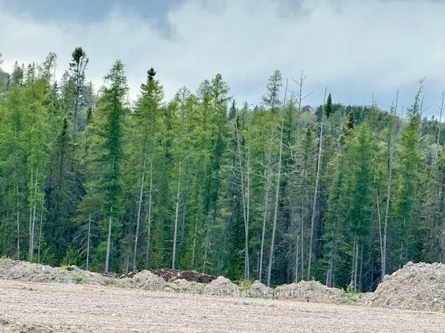 0 Highway 11 North Highway, #41 ACRE PROPERTY