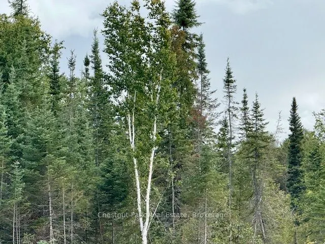 0 Highway 11 North Highway, #41 ACRE PROPERTY