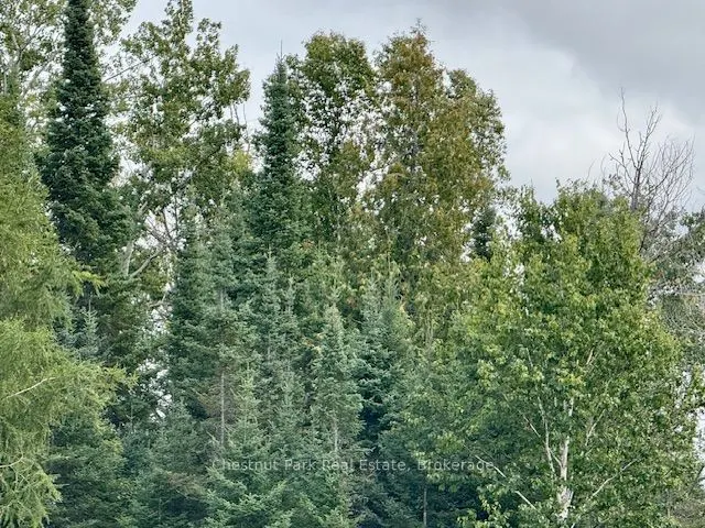 0 Highway 11 North Highway, #41 ACRE PROPERTY
