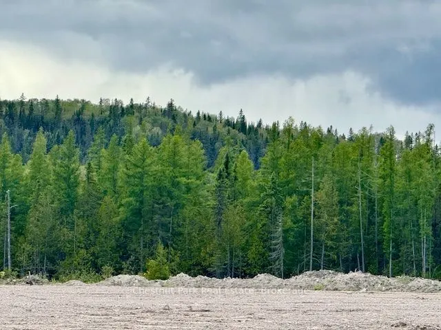 0 Highway 11 North Highway, #41 ACRE PROPERTY