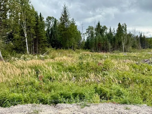 0 Highway 11 North Highway, #41 ACRE PROPERTY