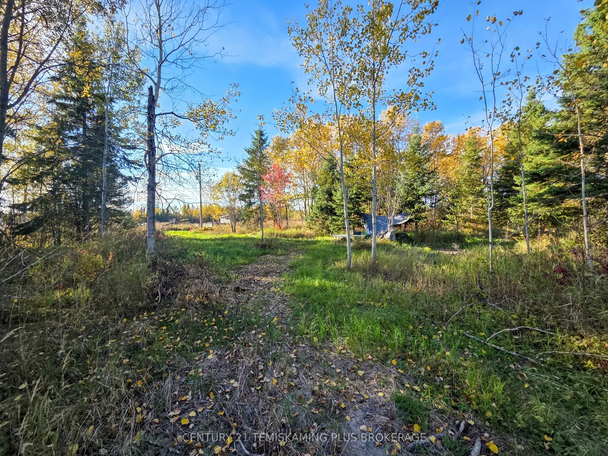 PCL5224 Little Road