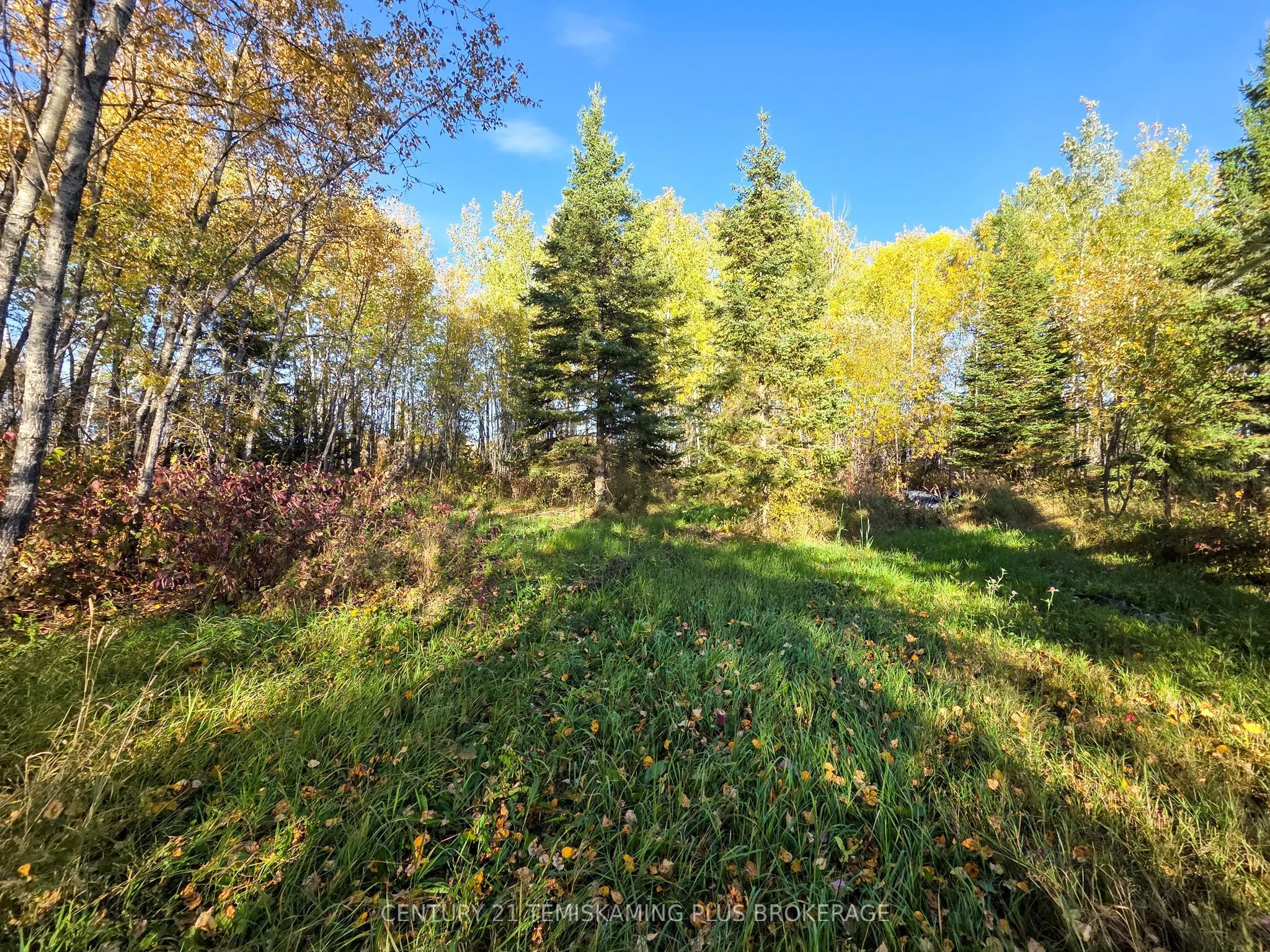 PCL5224 Little Road